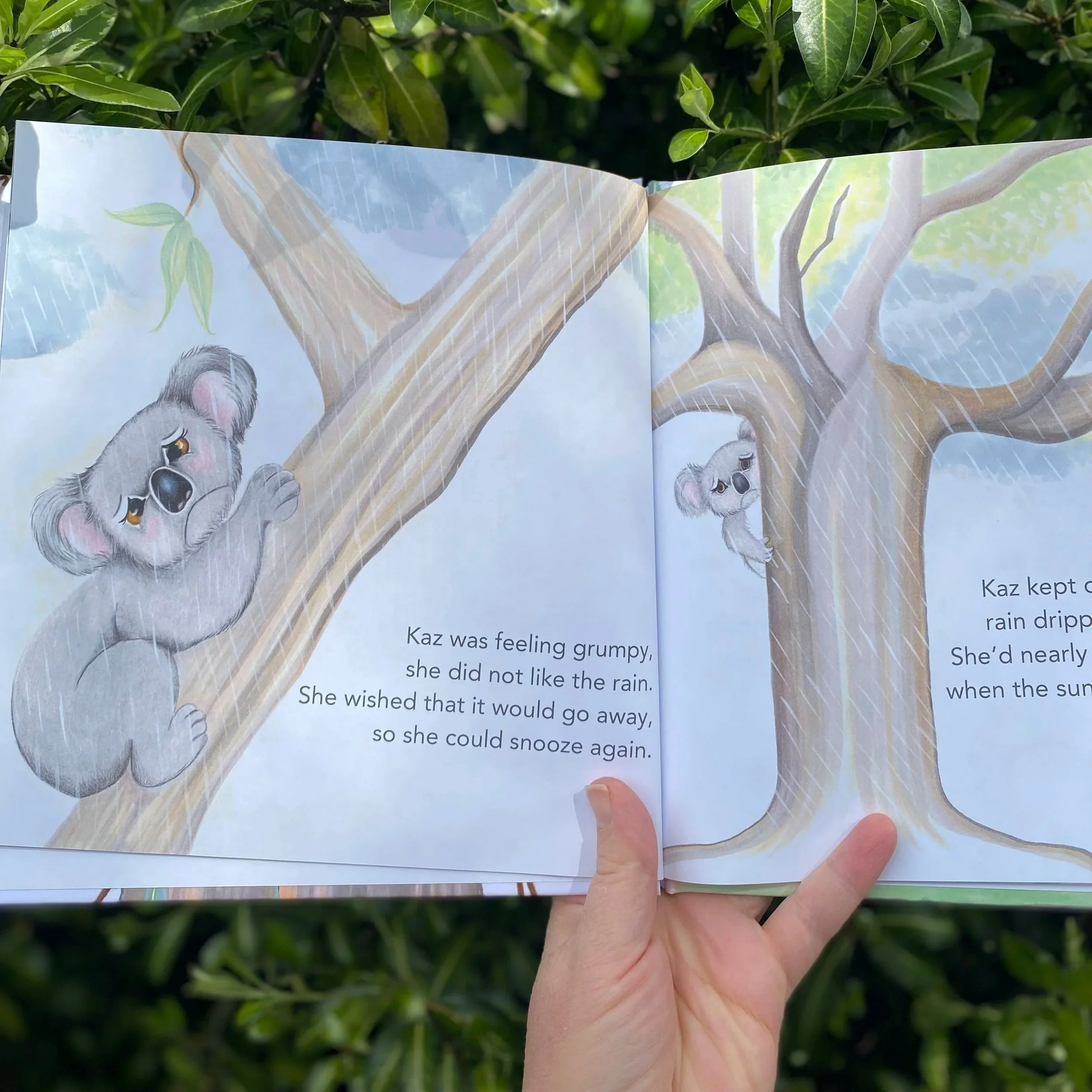 Illustrated grumpy koala from a page inside Once Upon a Gumtree.