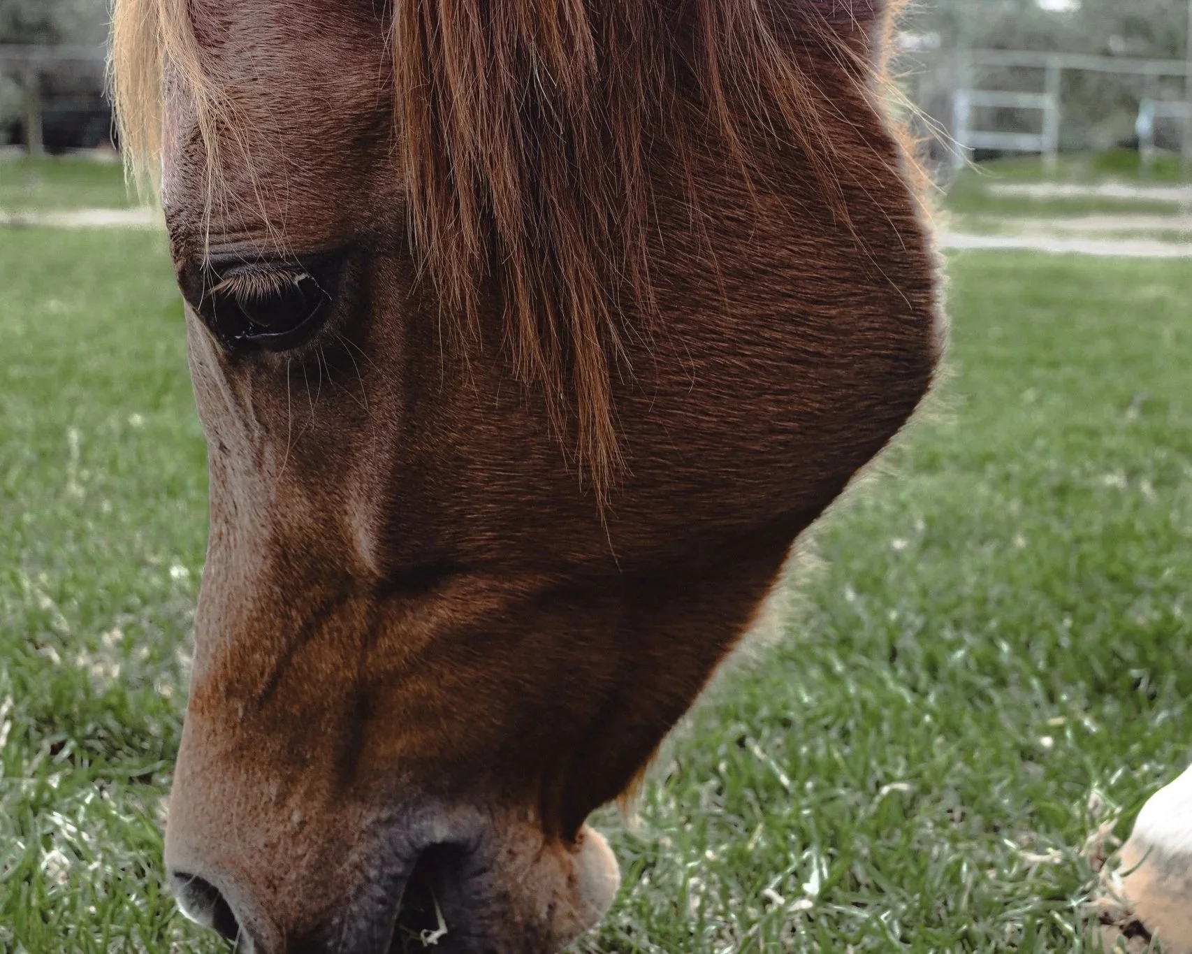 F10_0932.jpg