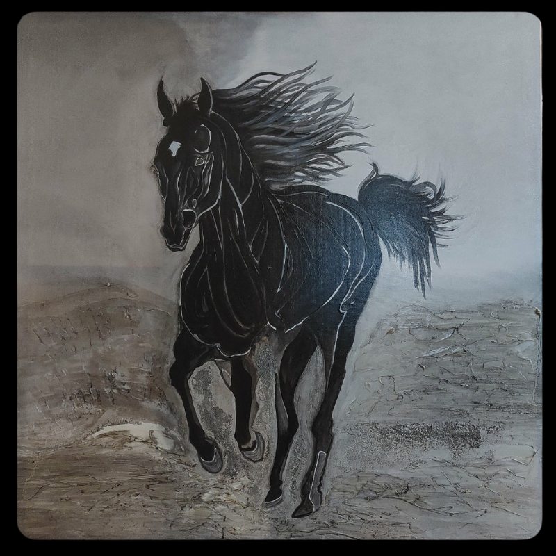 The Mystery of the True Black Horse