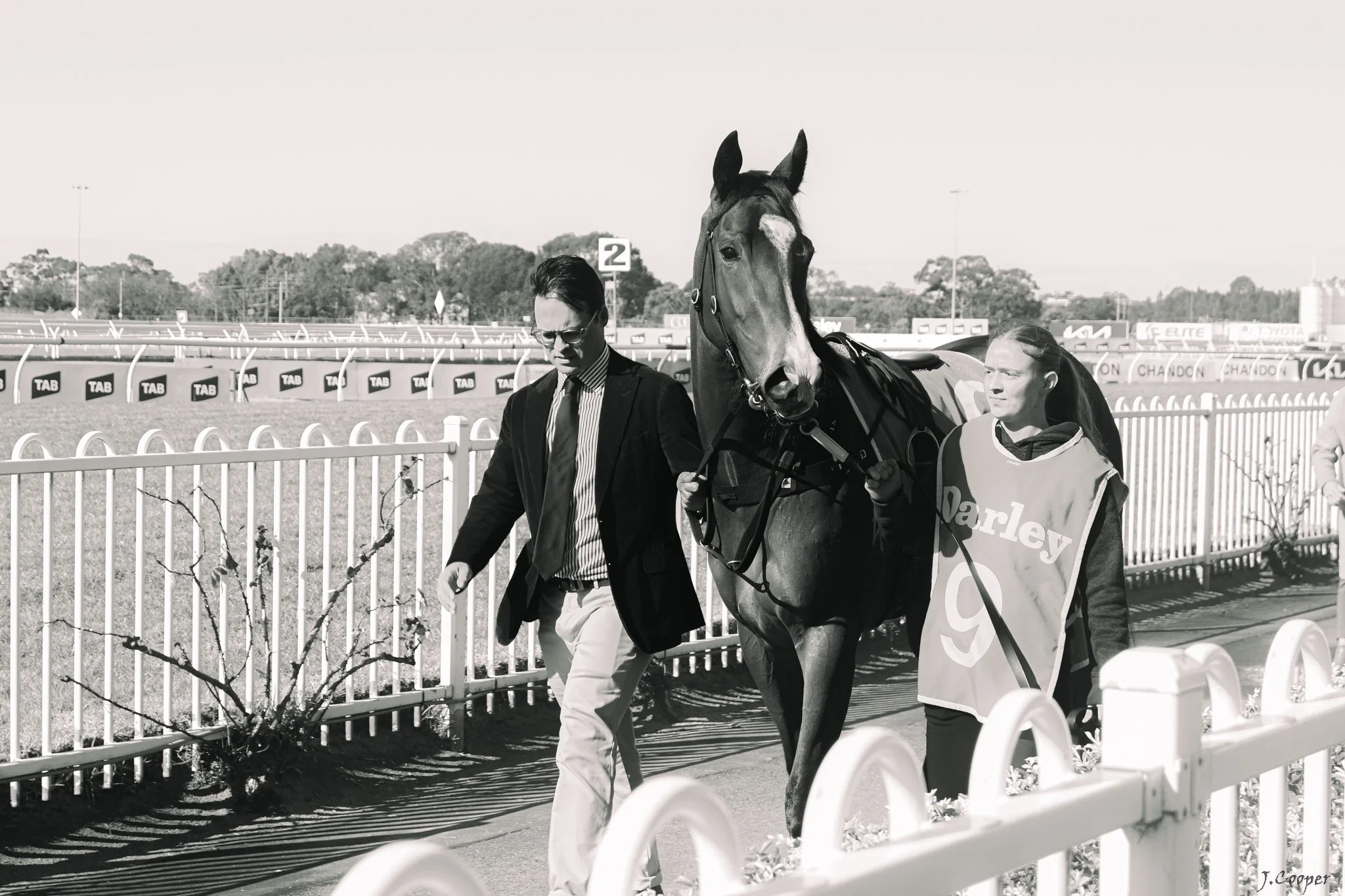 The Equine connection package