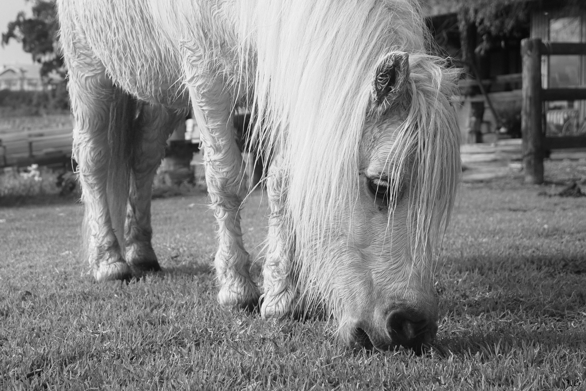 F10_0434.jpg