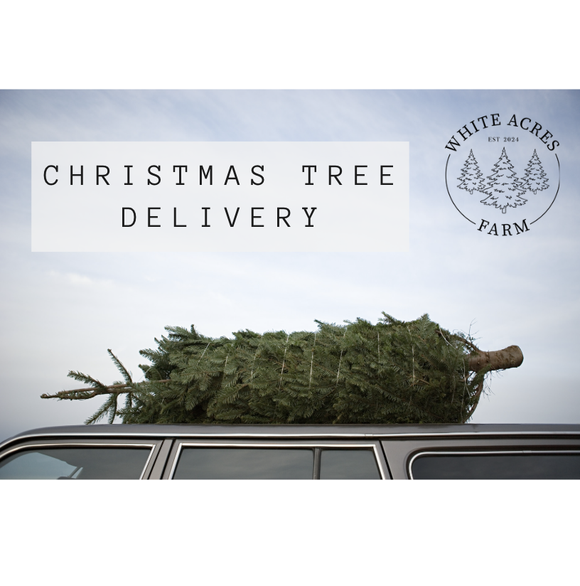 Local Sunraysia Tree Delivery