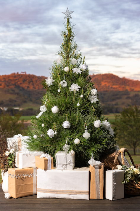 Screenshot 2025-09-15 at 11.23.17 am.png