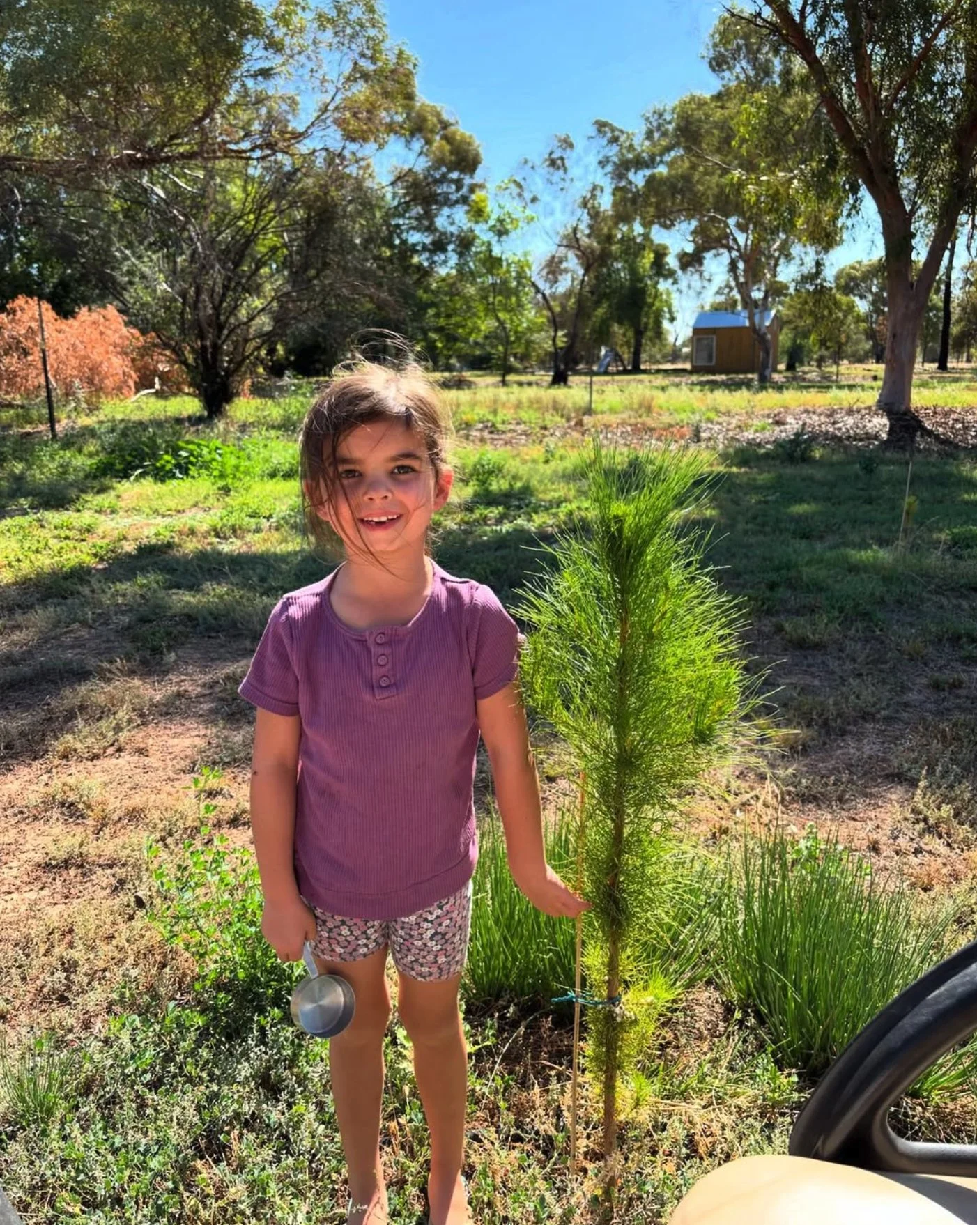 White Acres Farm Christmas Tree