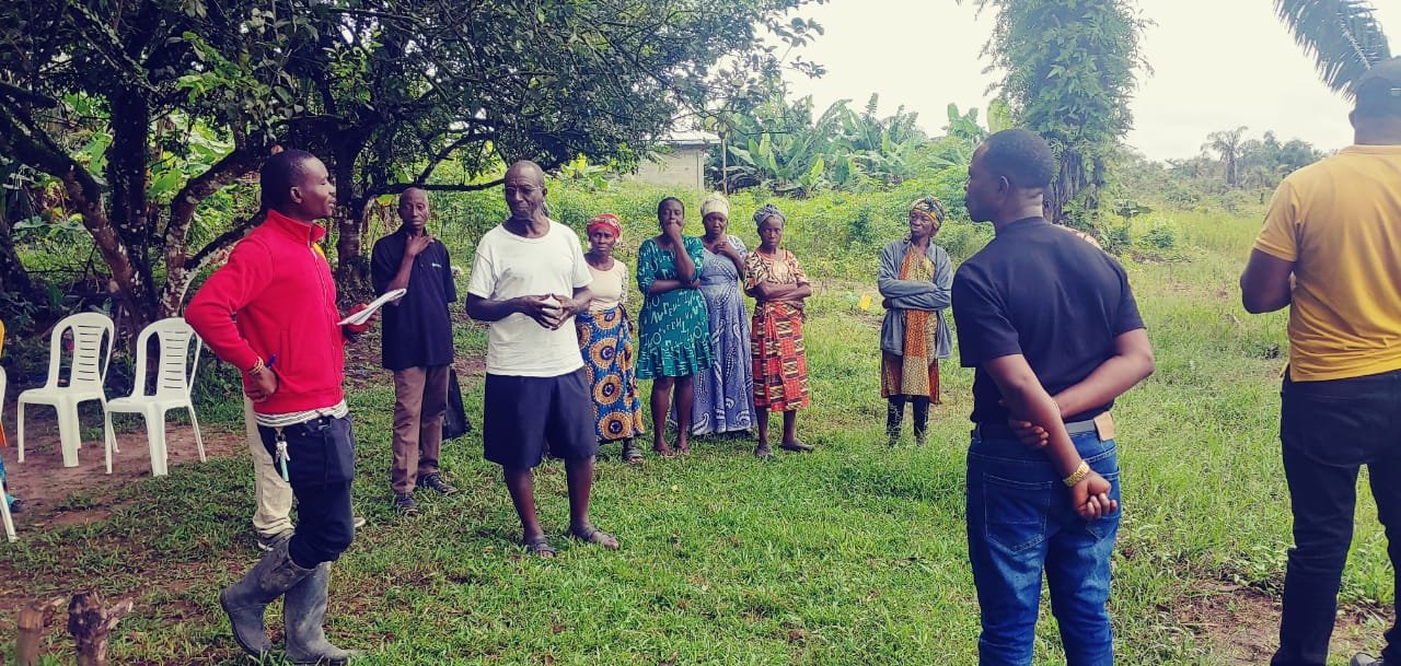 Liberian IP Teams Work on Rice Cultivation