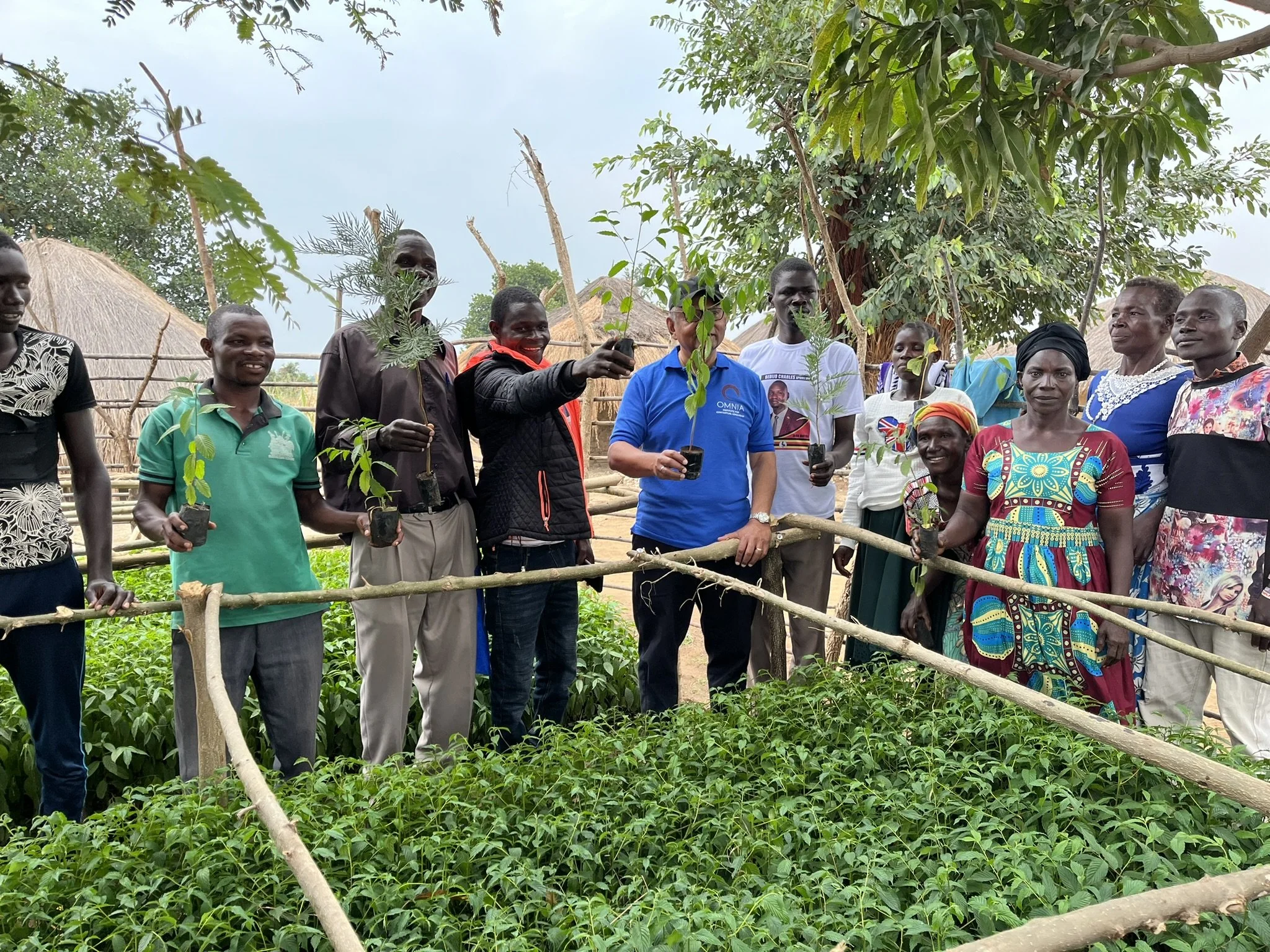 10,000 Trees