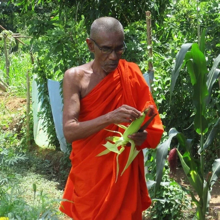 More than a Garden: Sri Lanka’s Home Agriculture Projects