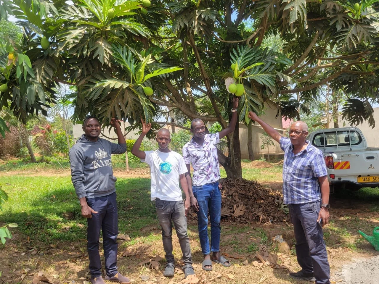 “Trees that Feed” in Uganda