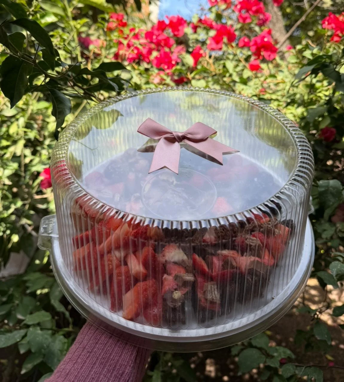 WhatsApp Image 2026-02-03 at 7.08.00 PM.jpeg