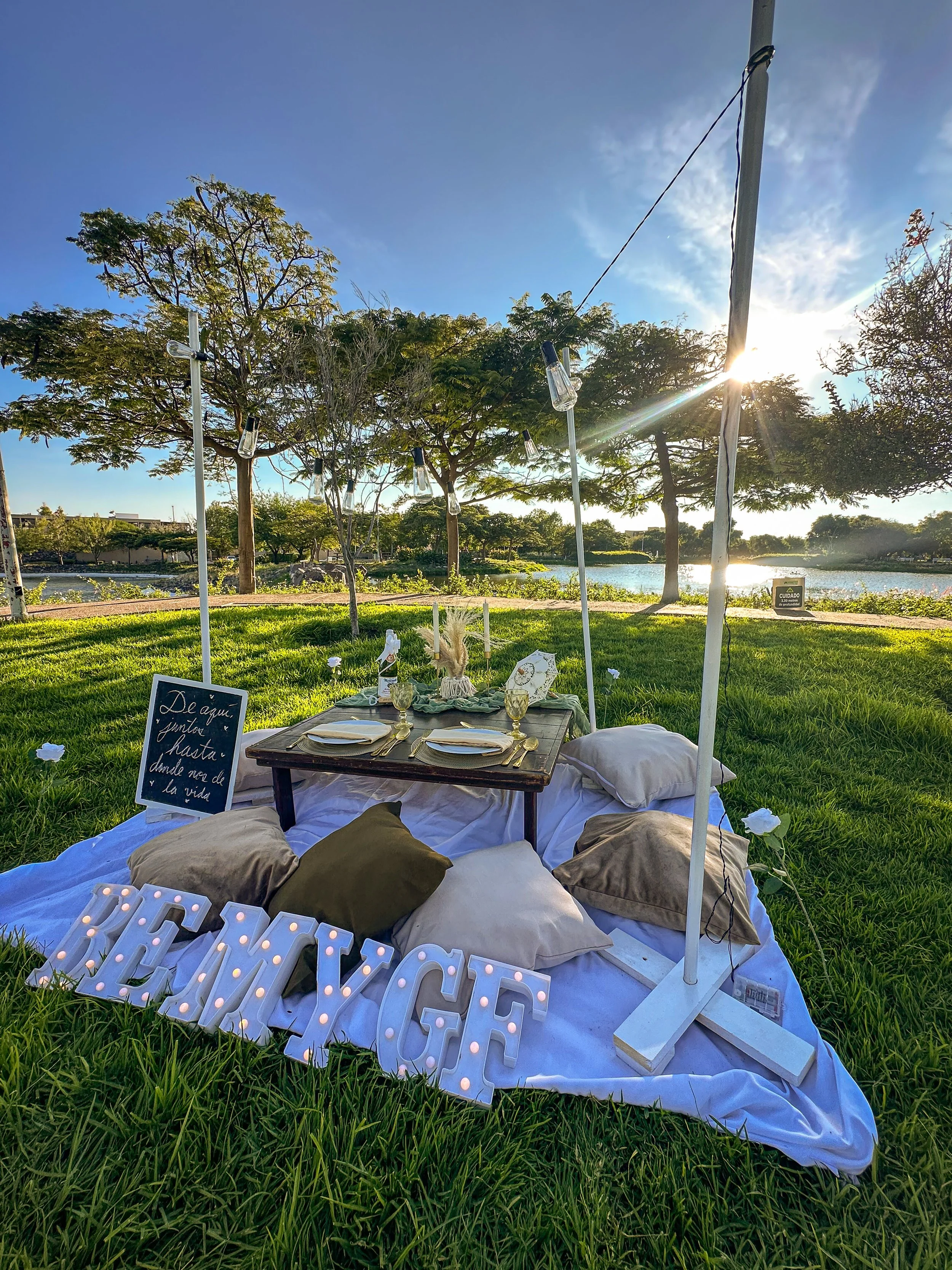 PICNIC NOVIAZGO VALENTINES