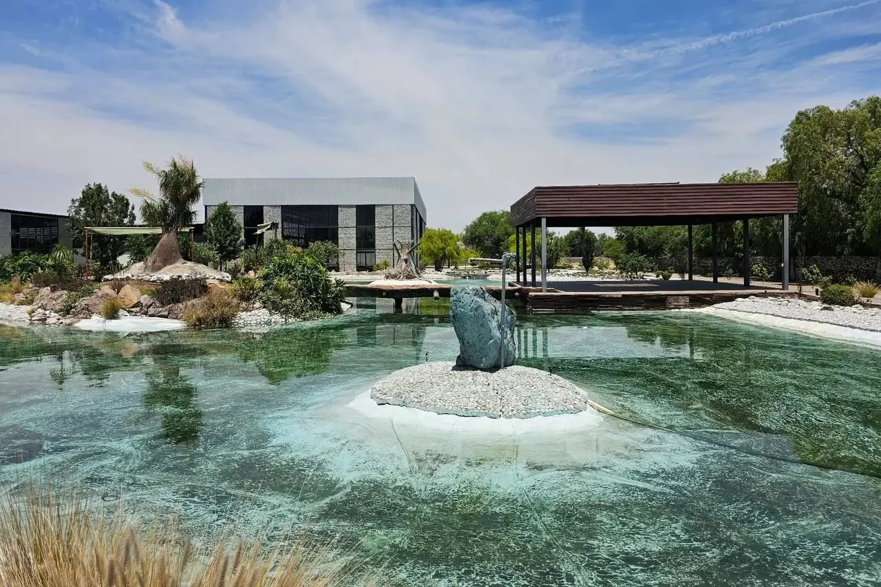 WhatsApp Image 2026-02-03 at 7.23.34 PM (1).jpeg