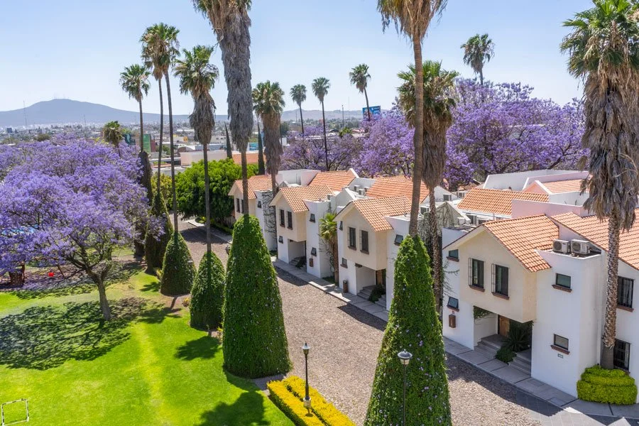 Jardin-panoramica.jpg (copia)