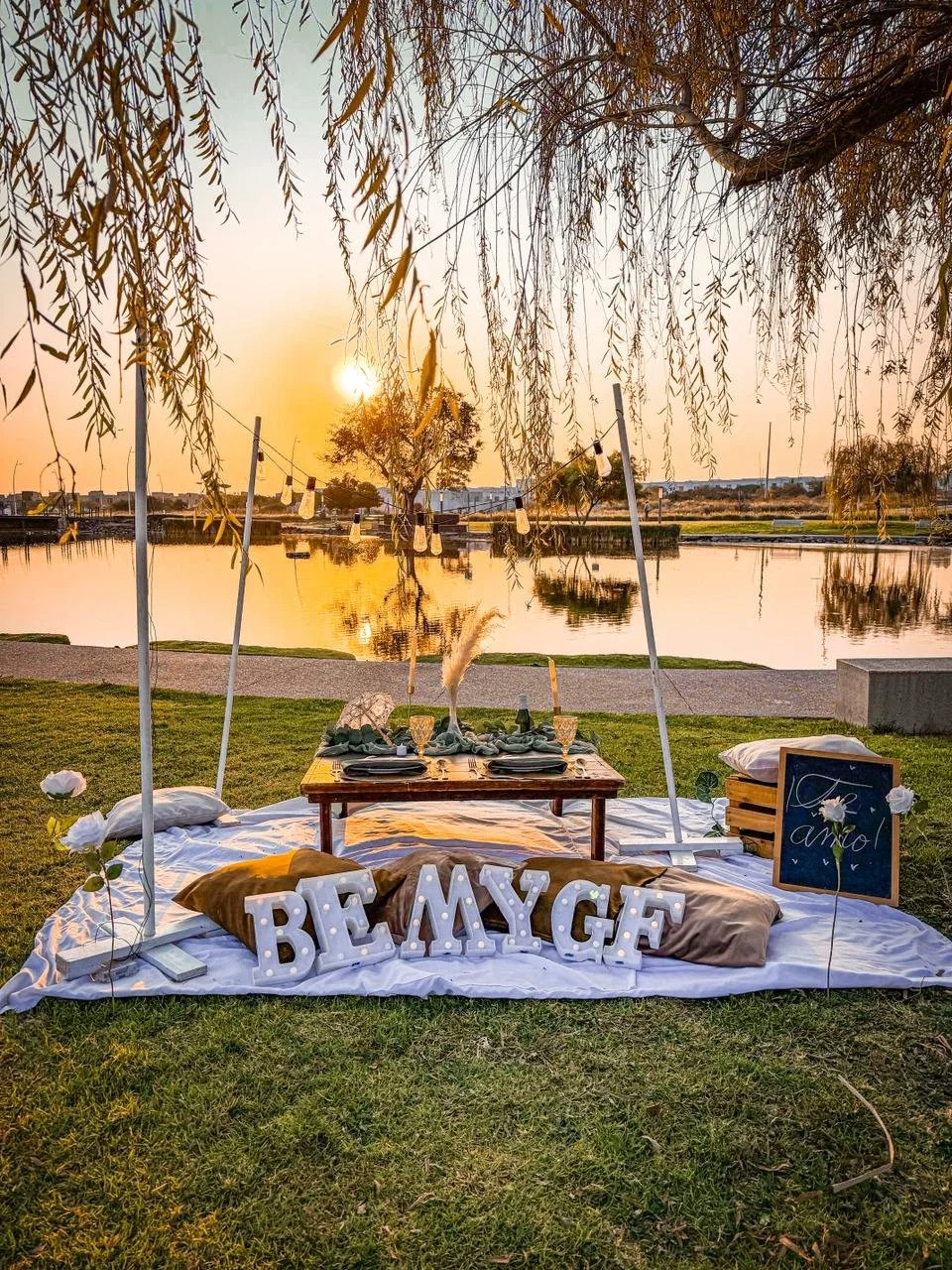 WhatsApp Image 2026-02-03 at 10.44.23 AM.jpeg (copia)