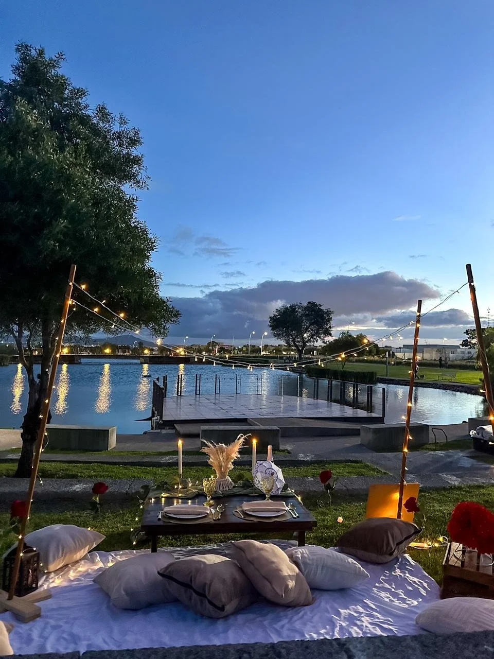 WhatsApp Image 2026-02-03 at 3.36.13 PM (7).jpeg (copia)