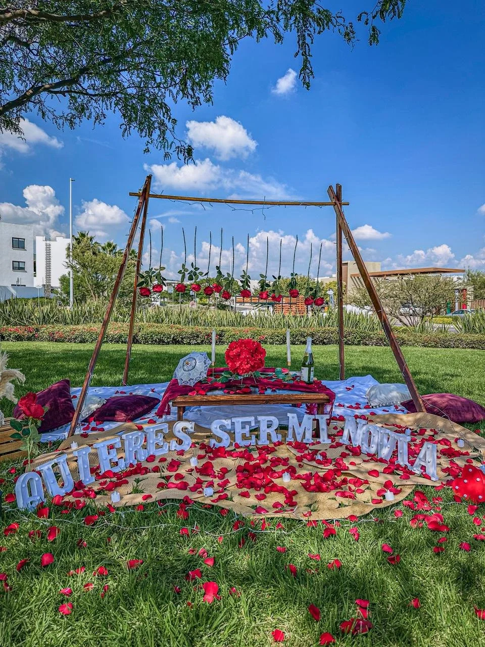 WhatsApp Image 2026-02-02 at 11.19.50 PM.jpeg