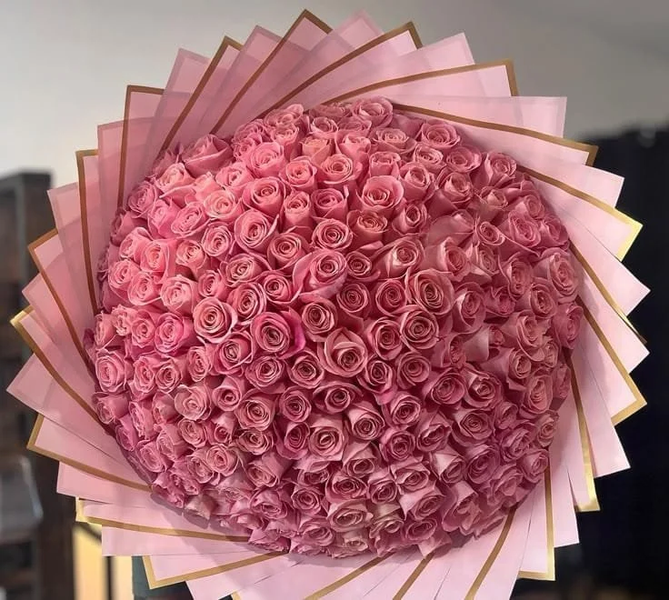 WhatsApp Image 2026-02-04 at 1.16.01 AM.jpeg