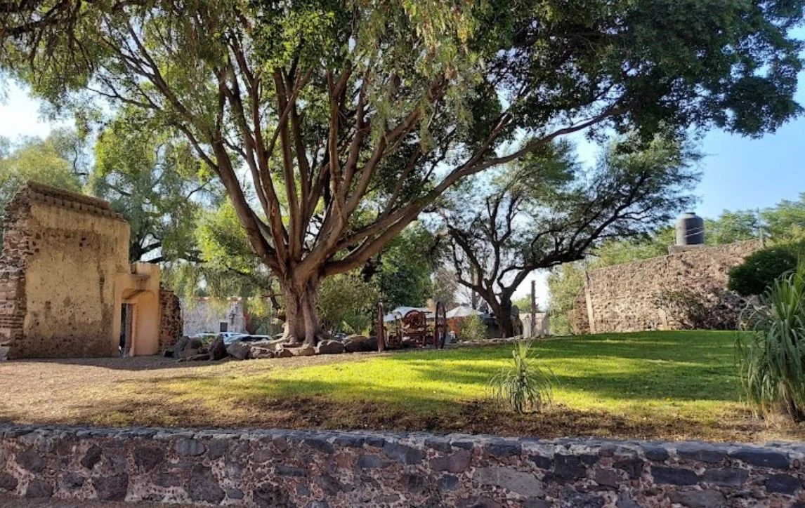 WhatsApp Image 2026-02-03 at 7.16.00 PM (1).jpeg