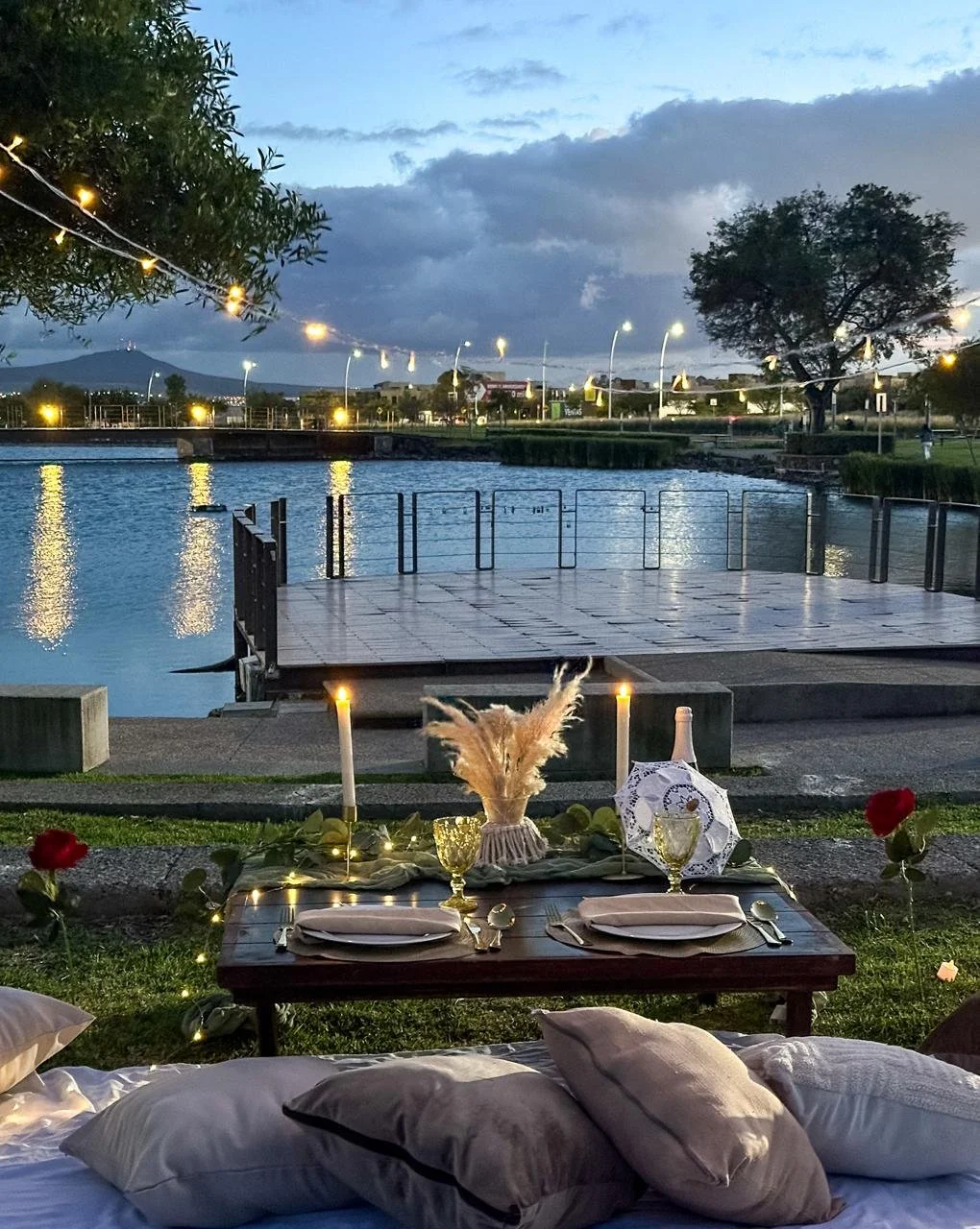 WhatsApp Image 2026-02-03 at 3.36.13 PM (6).jpeg (copia)