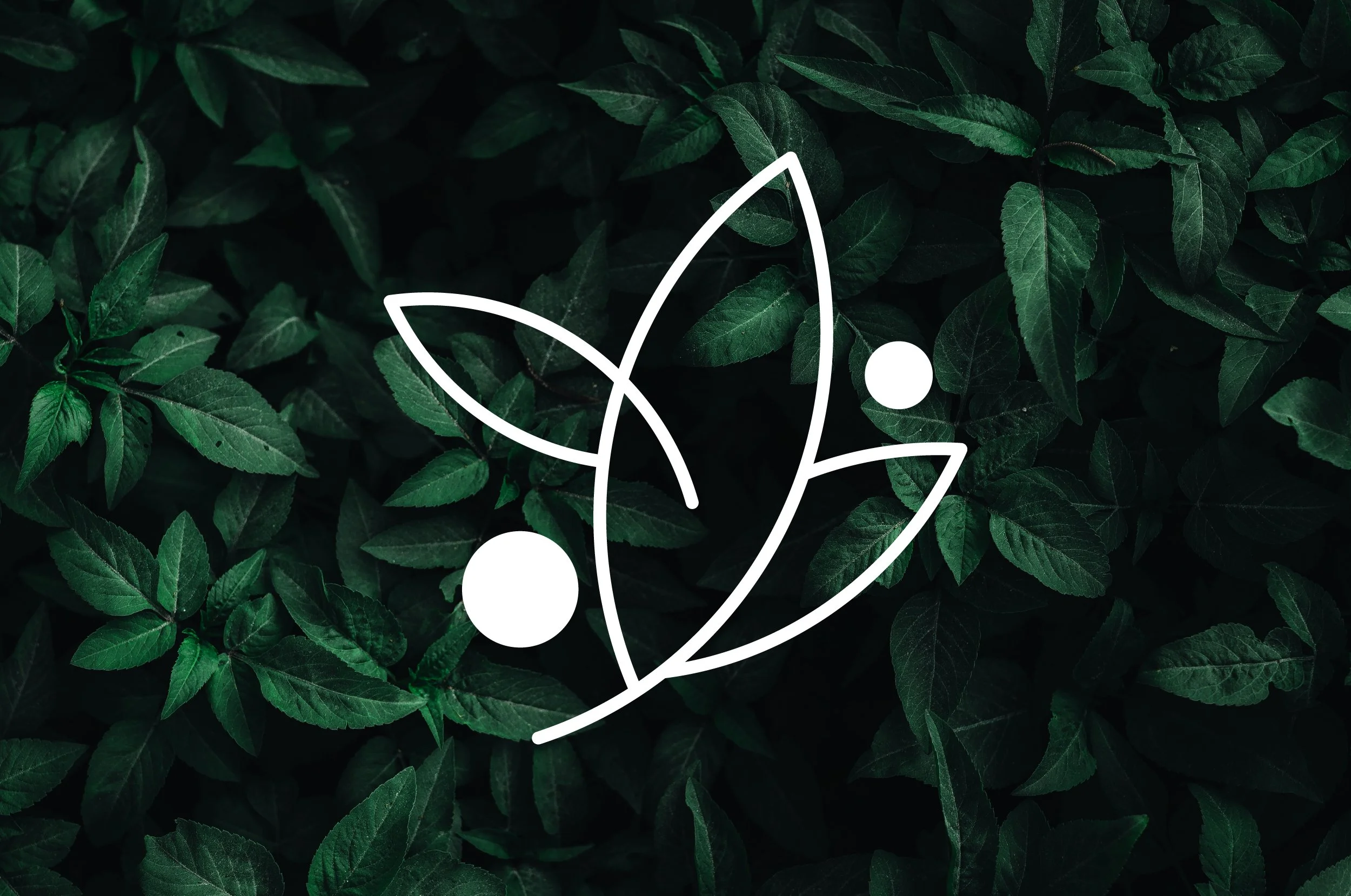 RPH Therapy & Consultation