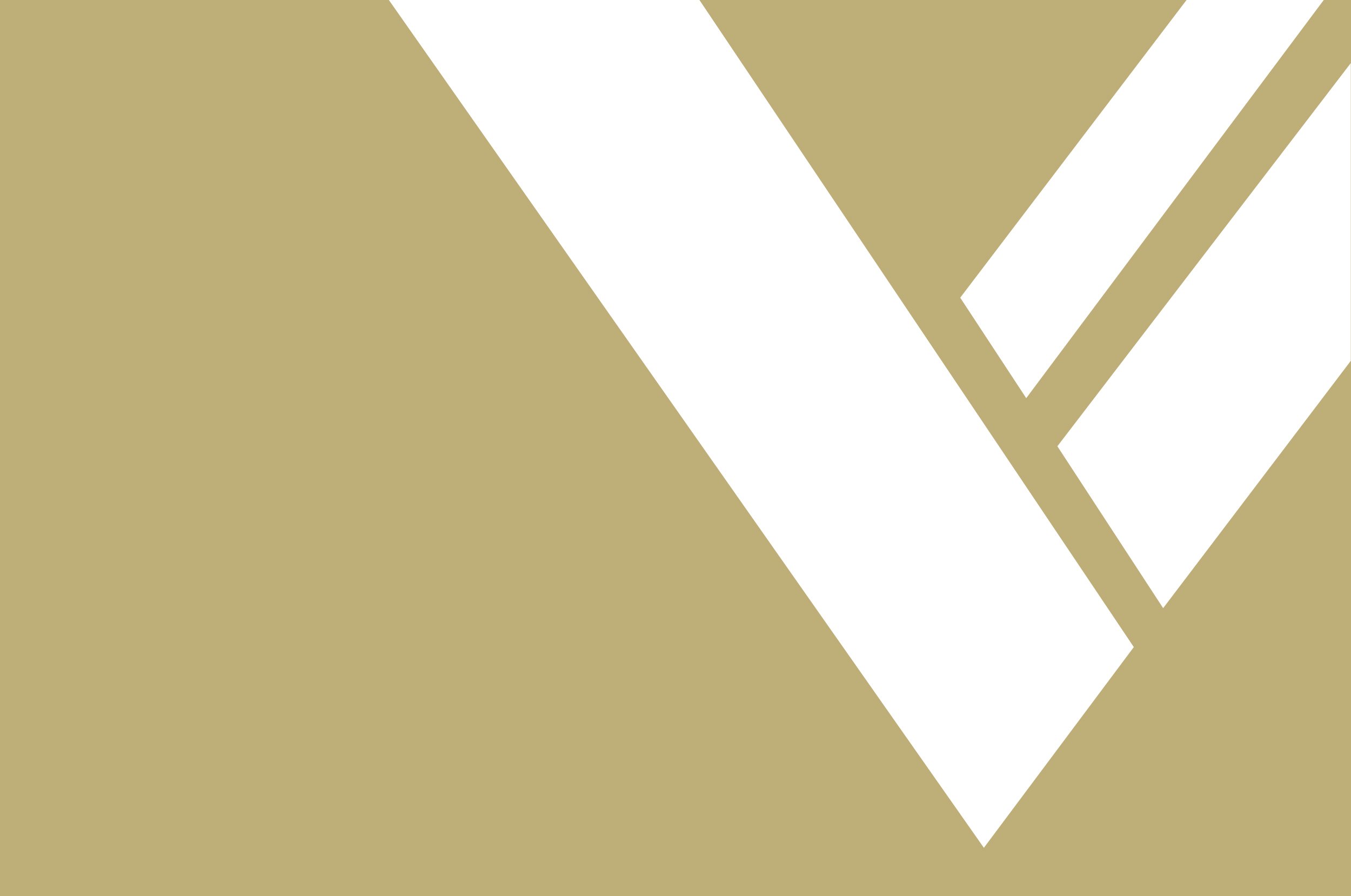 Vertus Insurance Partners