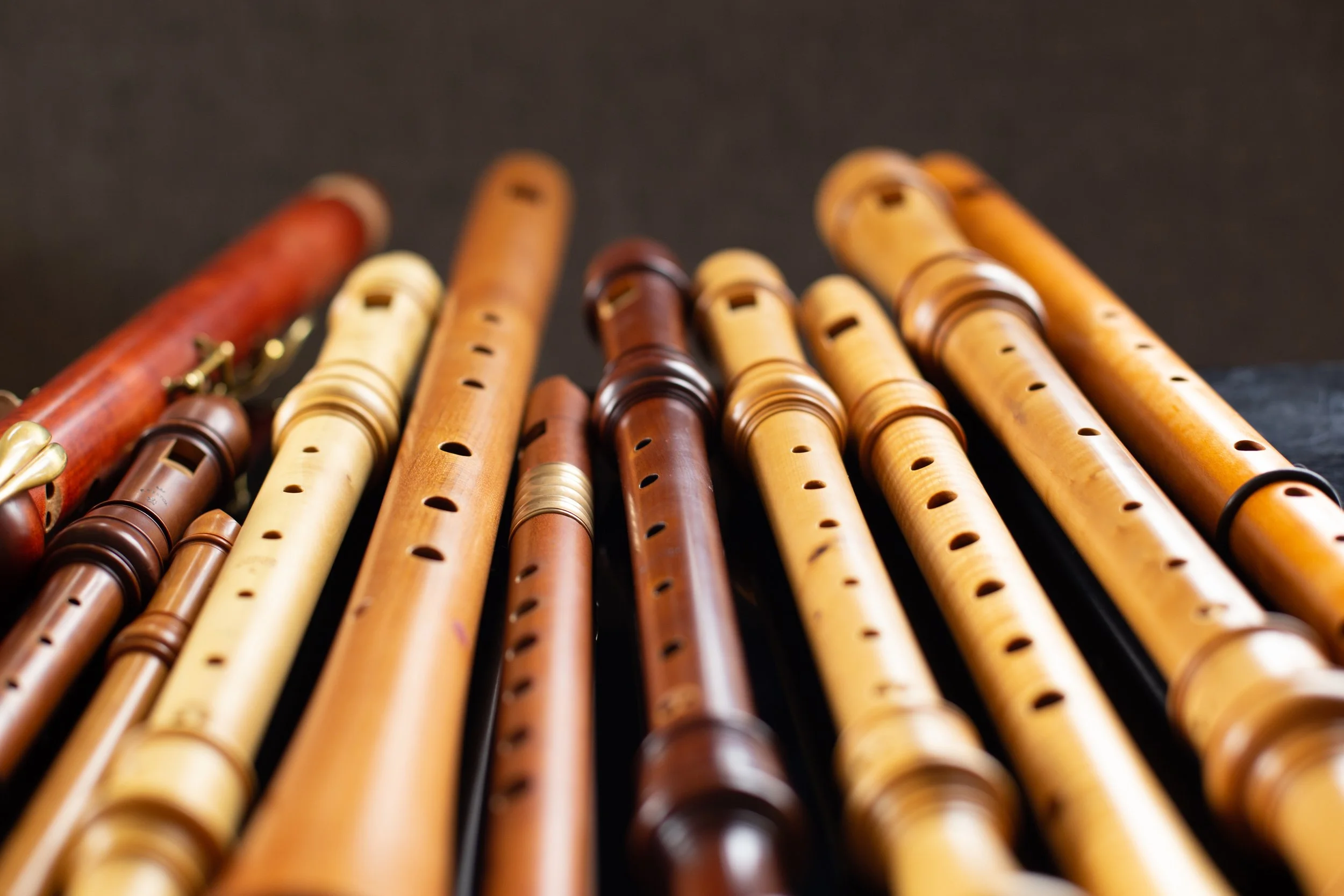 Colorado Recorder Orchestra Workshop