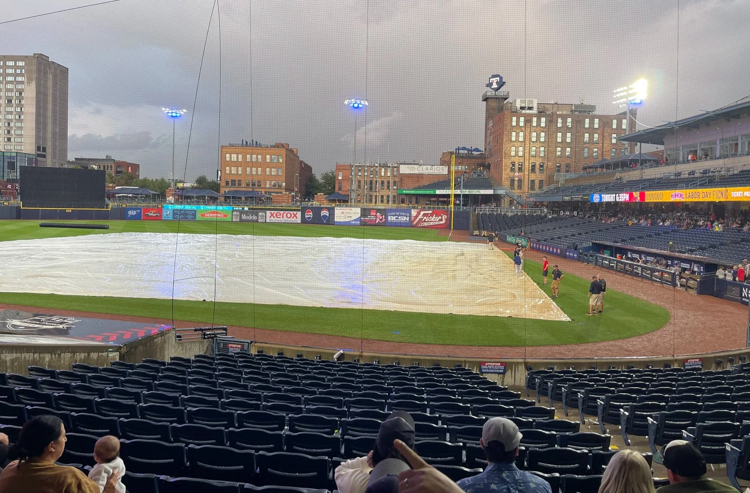 MudHensField Rain.jpg