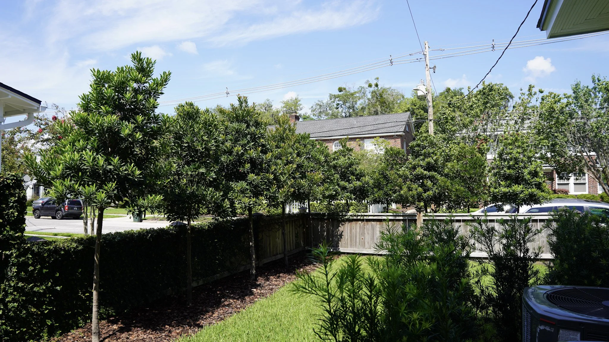 Residential backyard with green trees, a lawn, and a wooden fence under a partly cloudy sky.