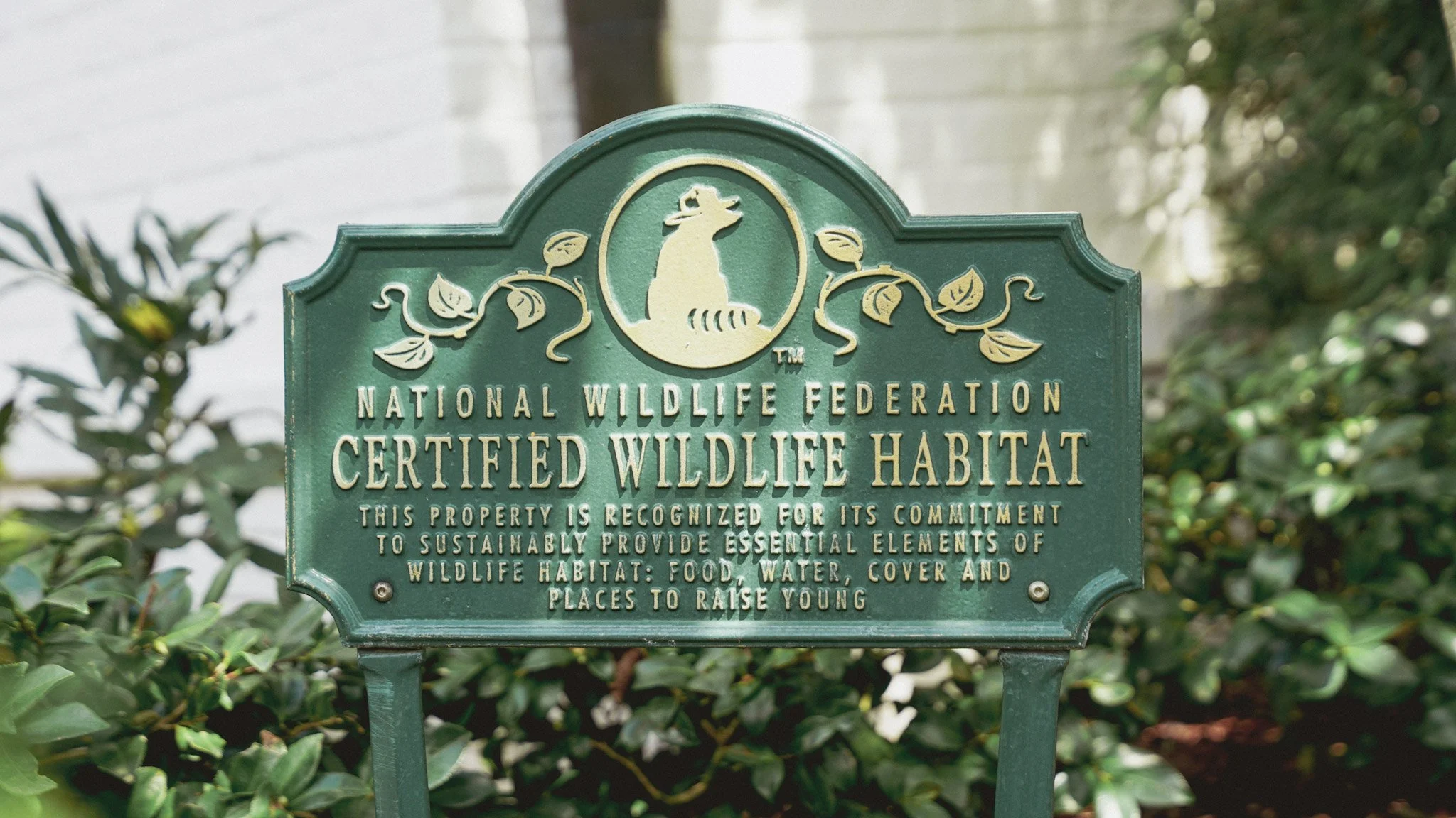 Green sign with gold lettering from the National Wildlife Federation indicating a Certified Wildlife Habitat, with an illustration of a deer or similar animal and decorative leaves, surrounded by bushes and trees.