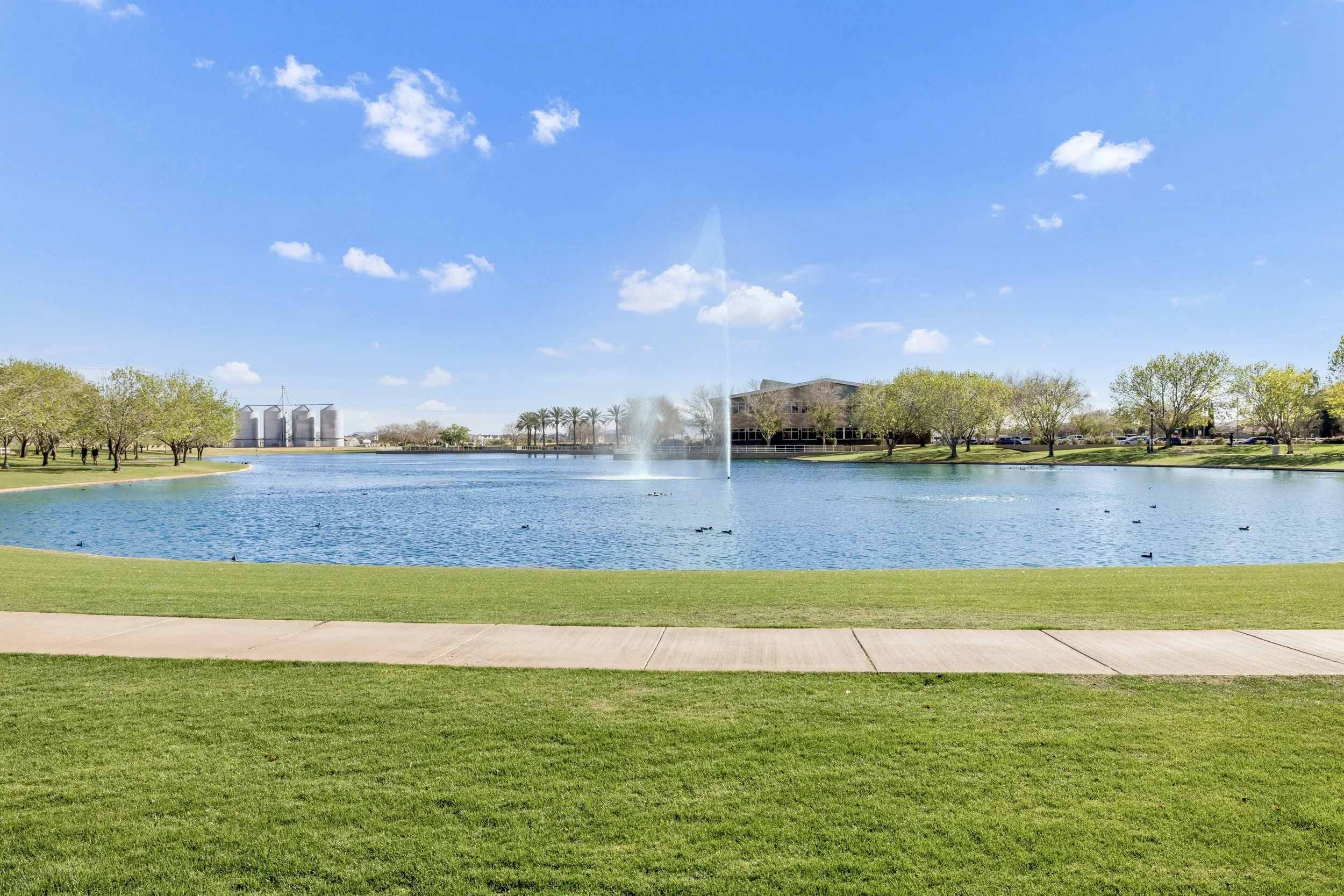 Beautiful lake with a fountain surrounded by grassy park and trees, captured in real estate photography in Gilbert, AZ, showcasing the serene environment of the Morrison Ranch neighborhood.