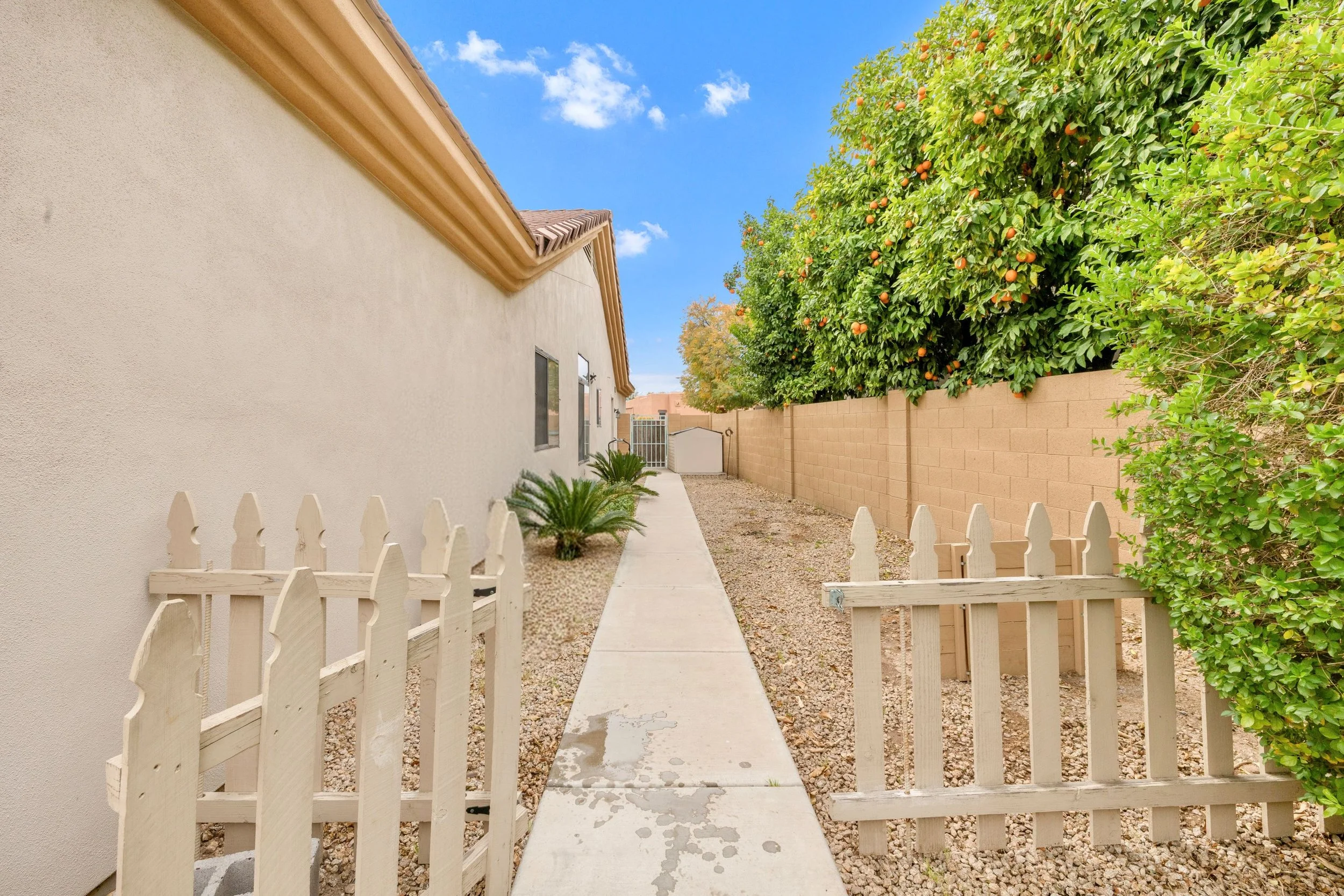 This side yard with a wooden gate and orange trees showcases quality real estate photography in Goodyear, AZ, highlighting a serene and well-maintained outdoor space.