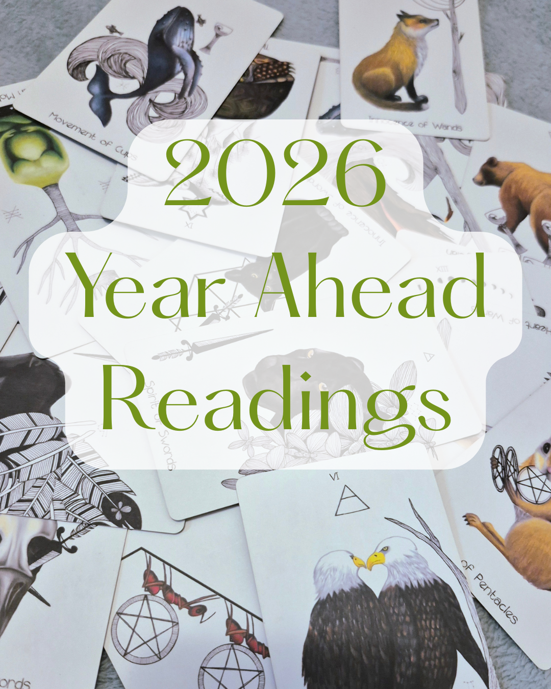 2026 Readings.png