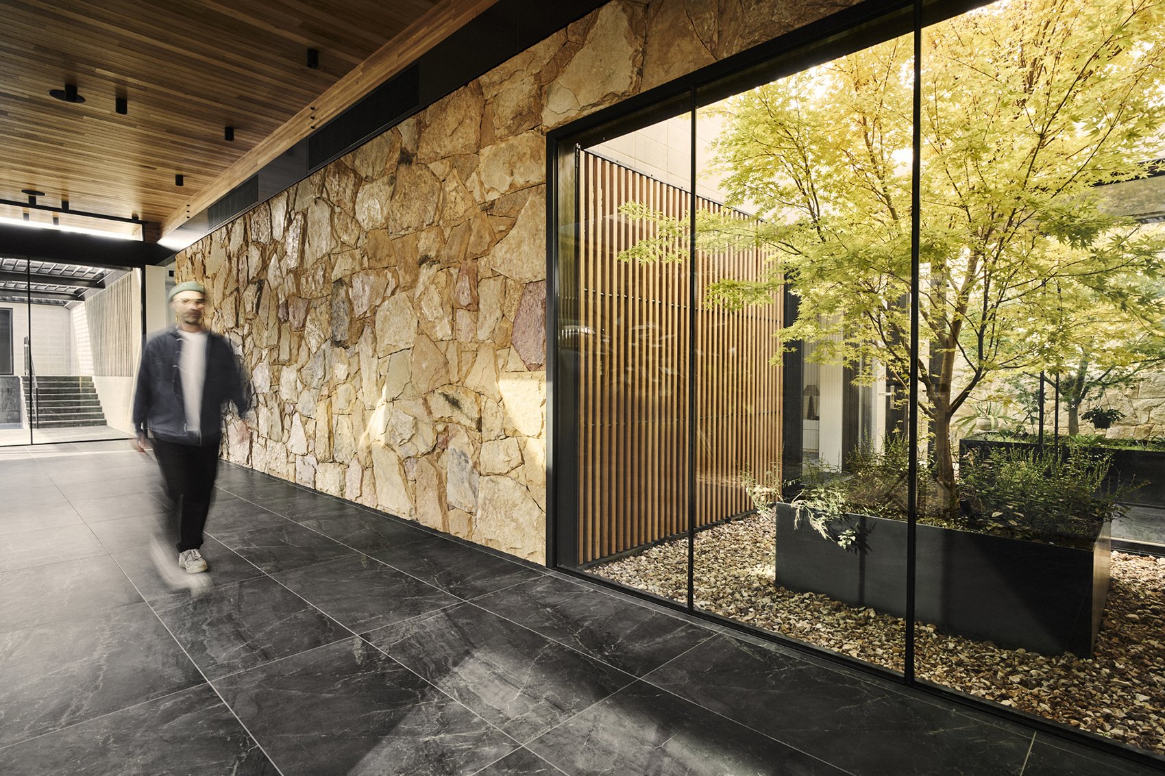 A man walking through a modern indoor space with a glass window overlooking a courtyard with a tree and plants, stone and wood interior design elements.