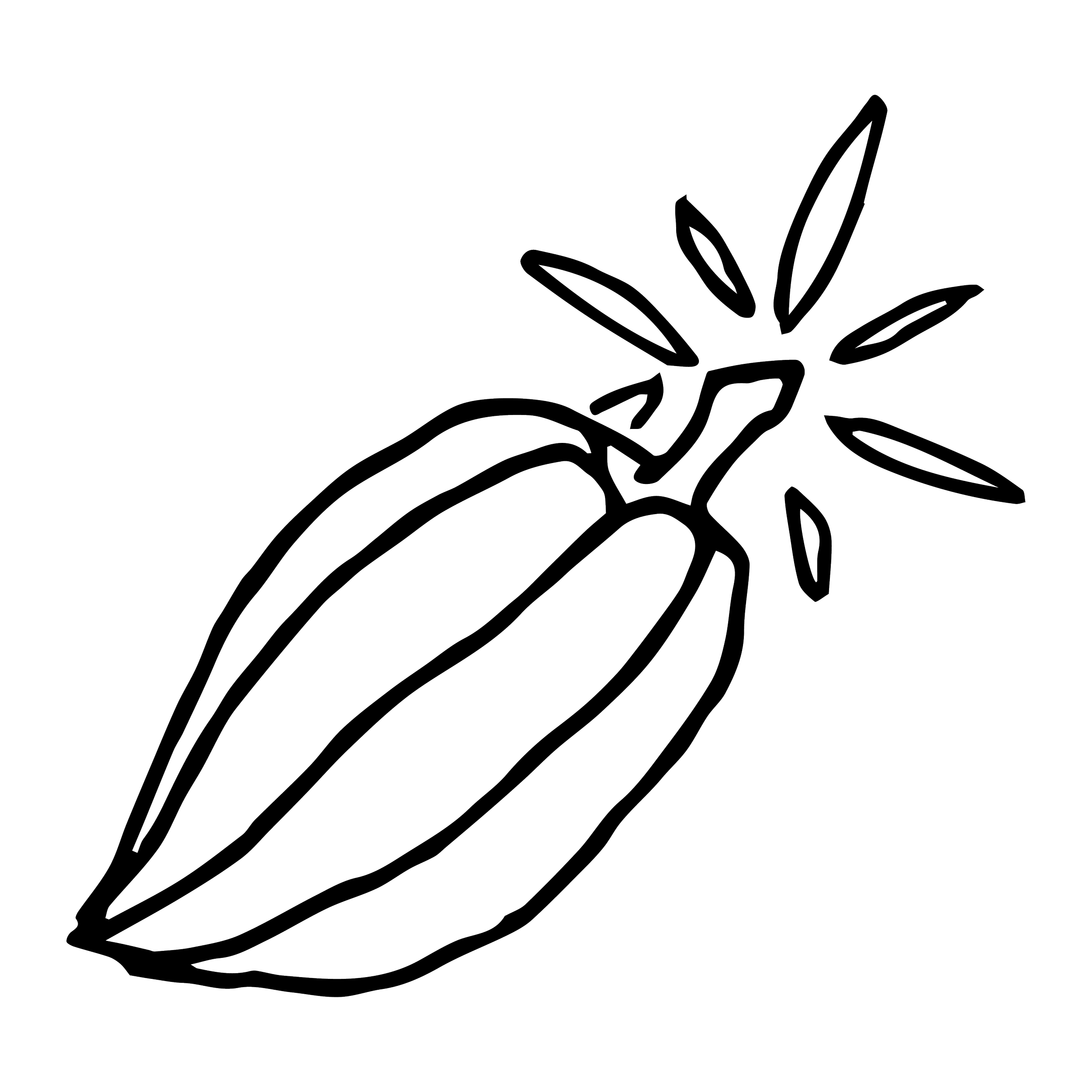 Outline drawing of a cocoa pod with a star off the end of the pod.