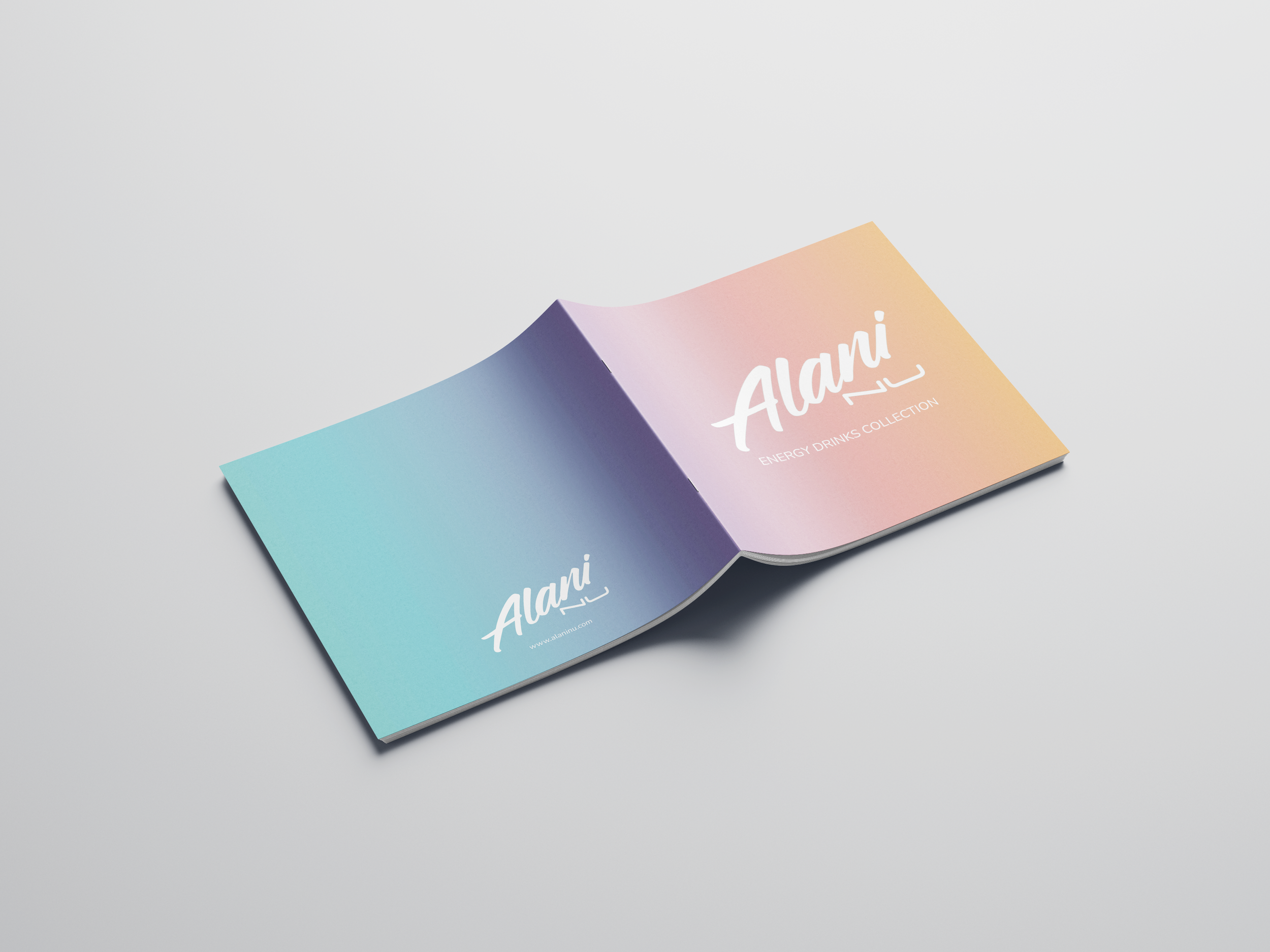 alaniMockup1.png