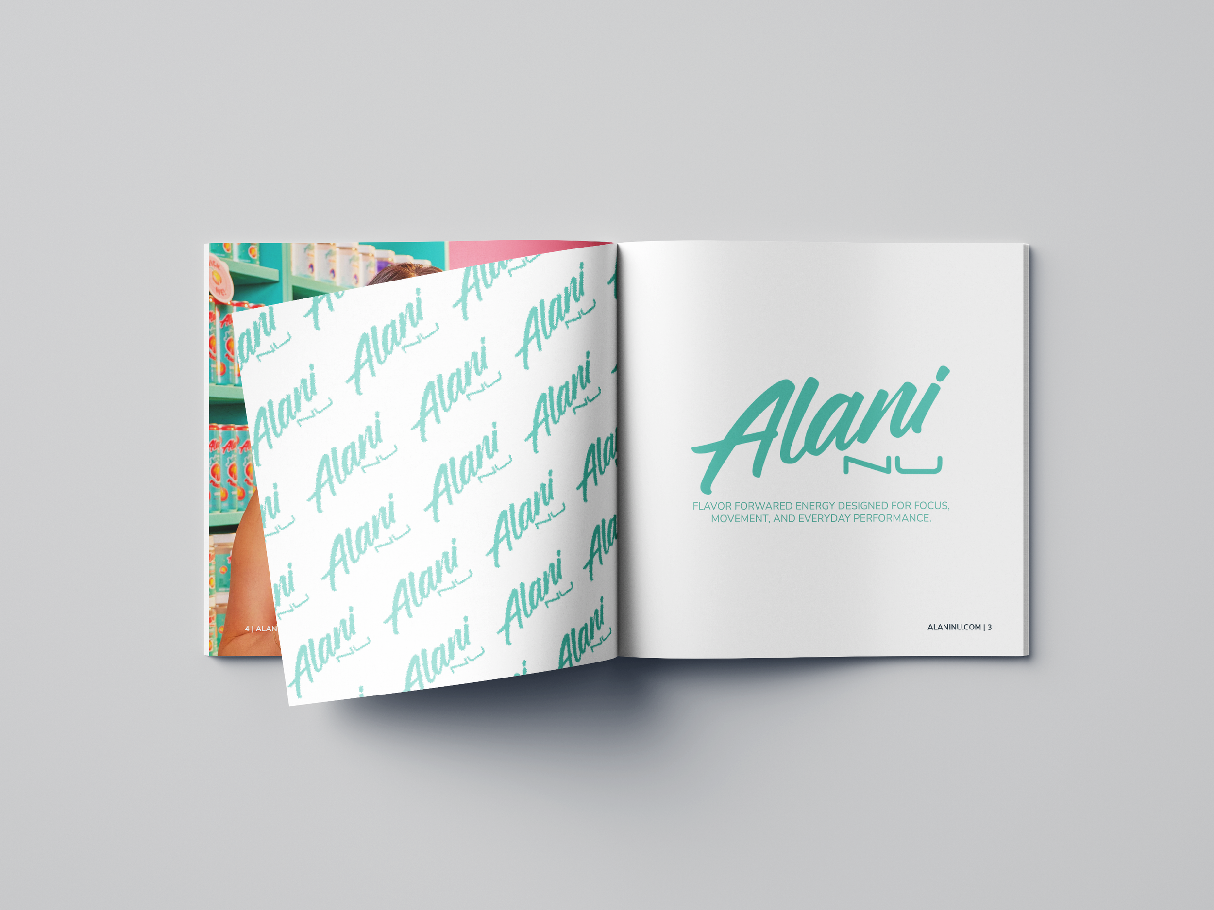 alaniMockup2.png