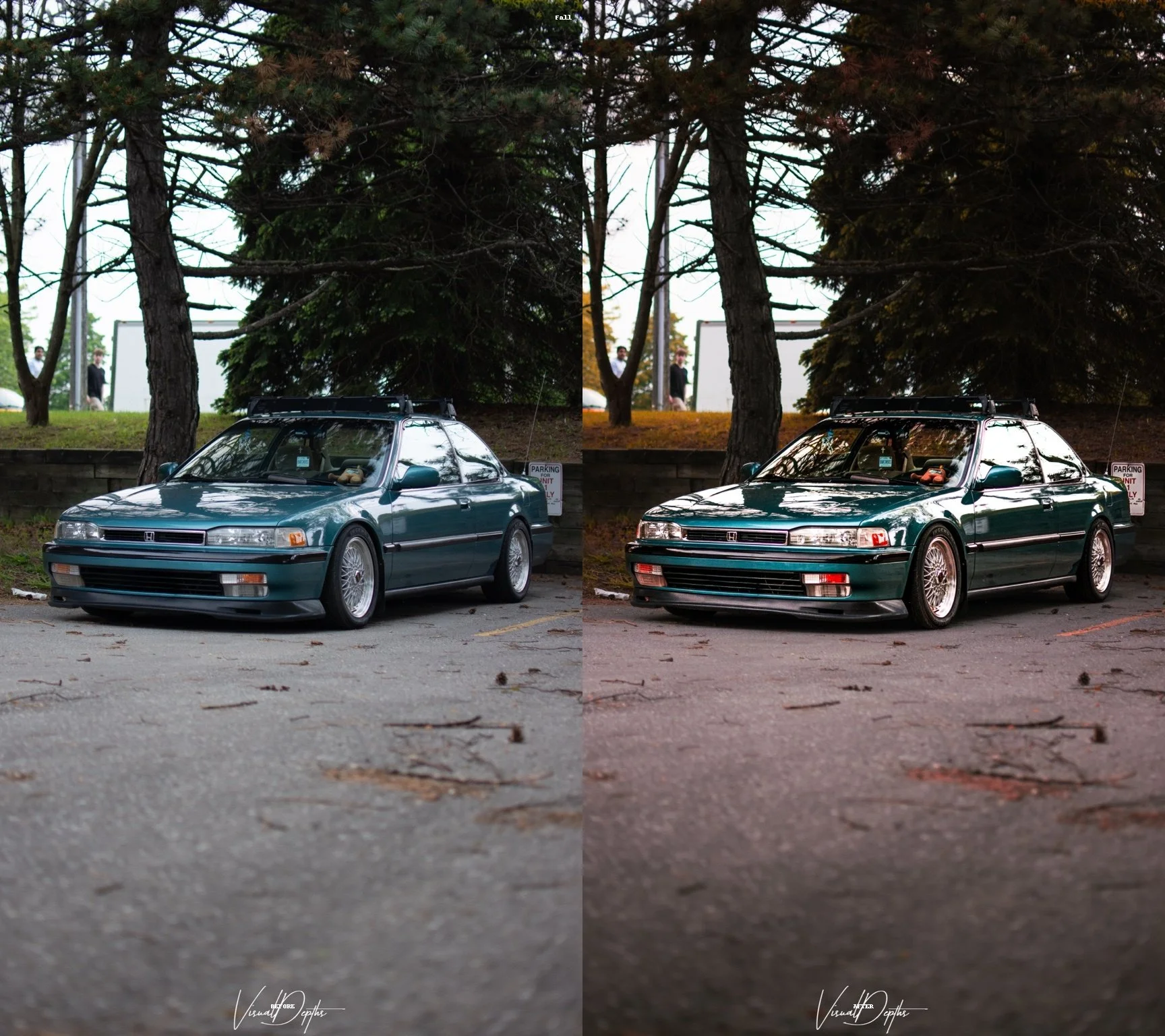 Before_After_Fall.jpg