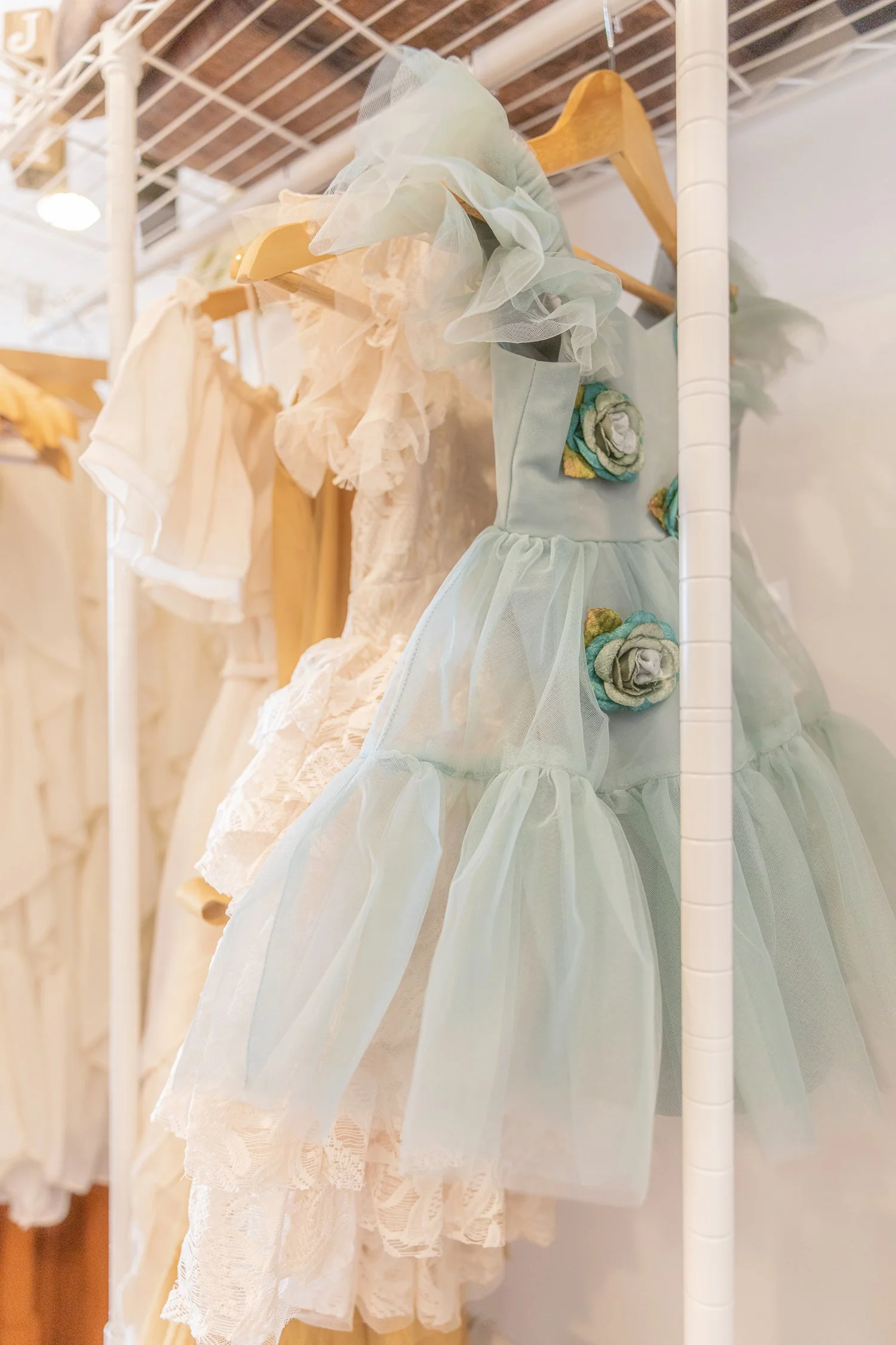 Beautiful dresses of the Client Closet for Worthy of Love Photography a Front Royal, VA photographer