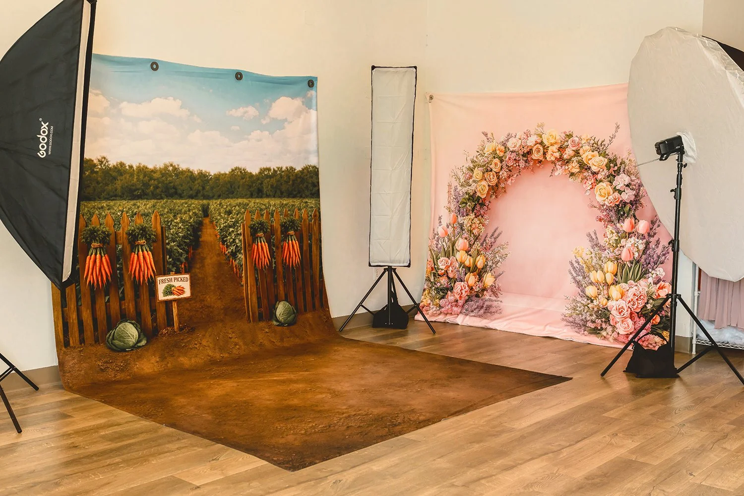 The part of Worthy of Love Photography's studio where the actual session takes place in Front Royal, VA.