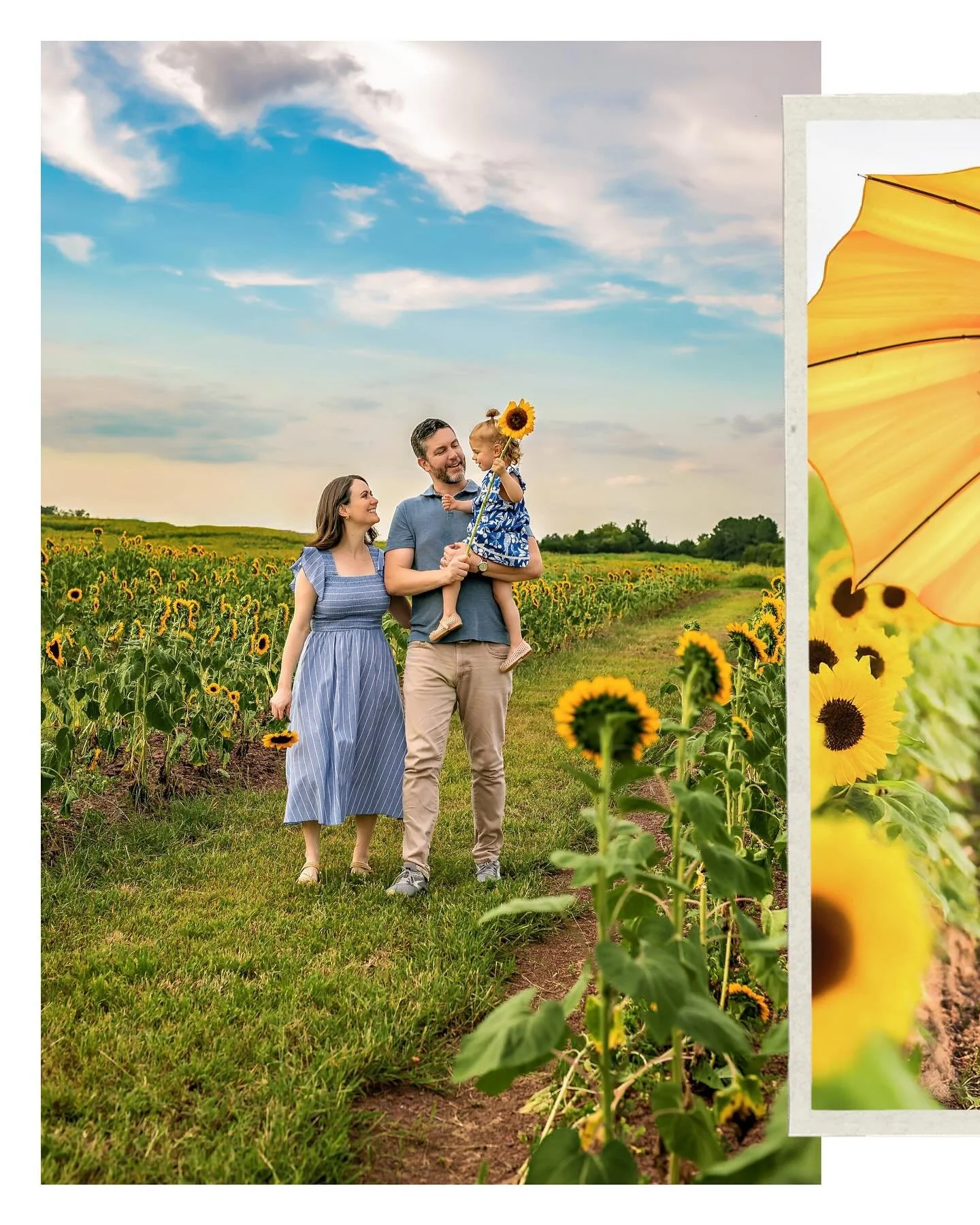 I had the best time chasing this little sweetheart through a field of sunflowers 🌻 @burnsidefarms always makes the most beautiful backdrop and I only wish we had more time with these beauties! 

Northern VA photographer | Shenandoah Valley photograp