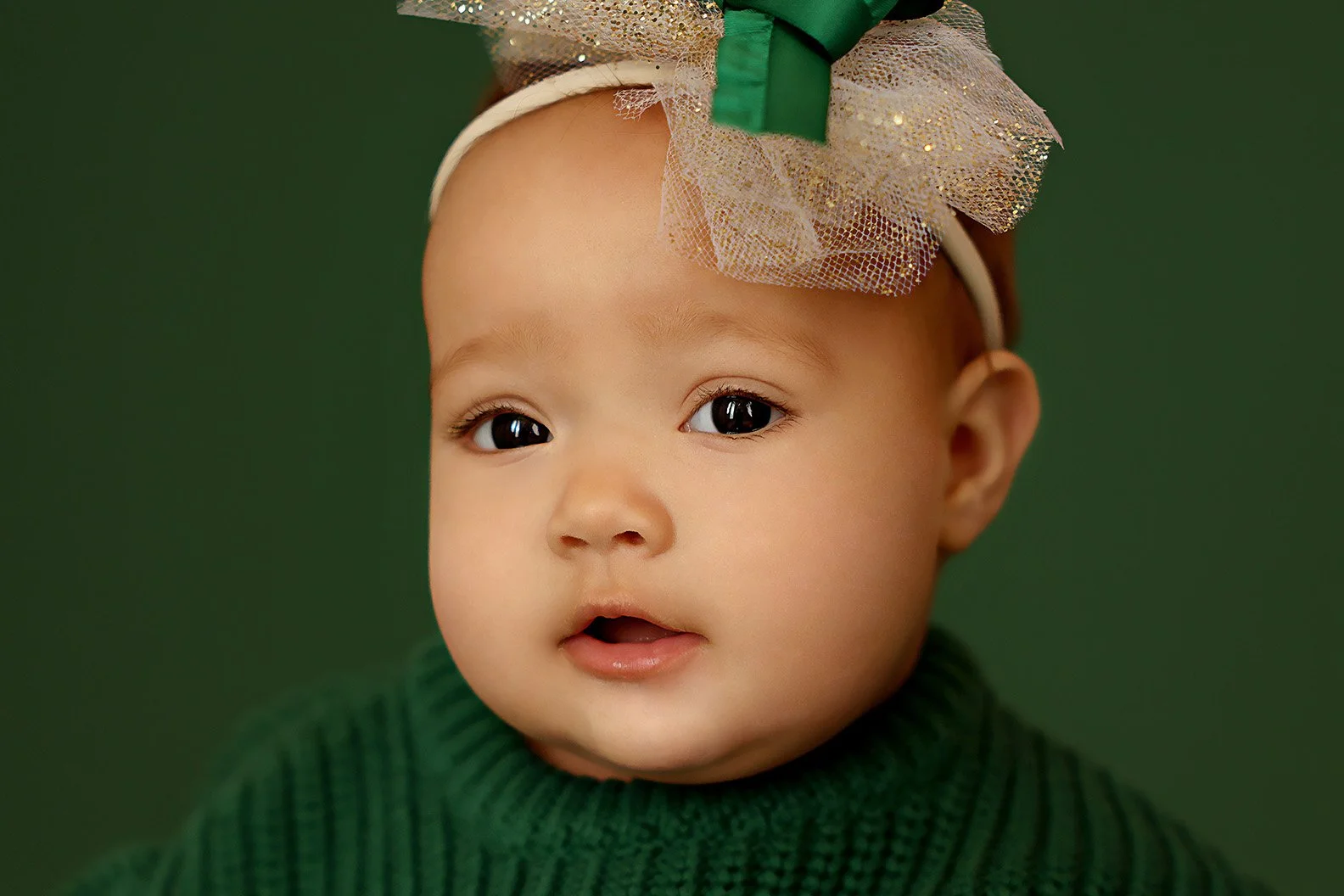 Northern Virginia Baby's First Year Photography