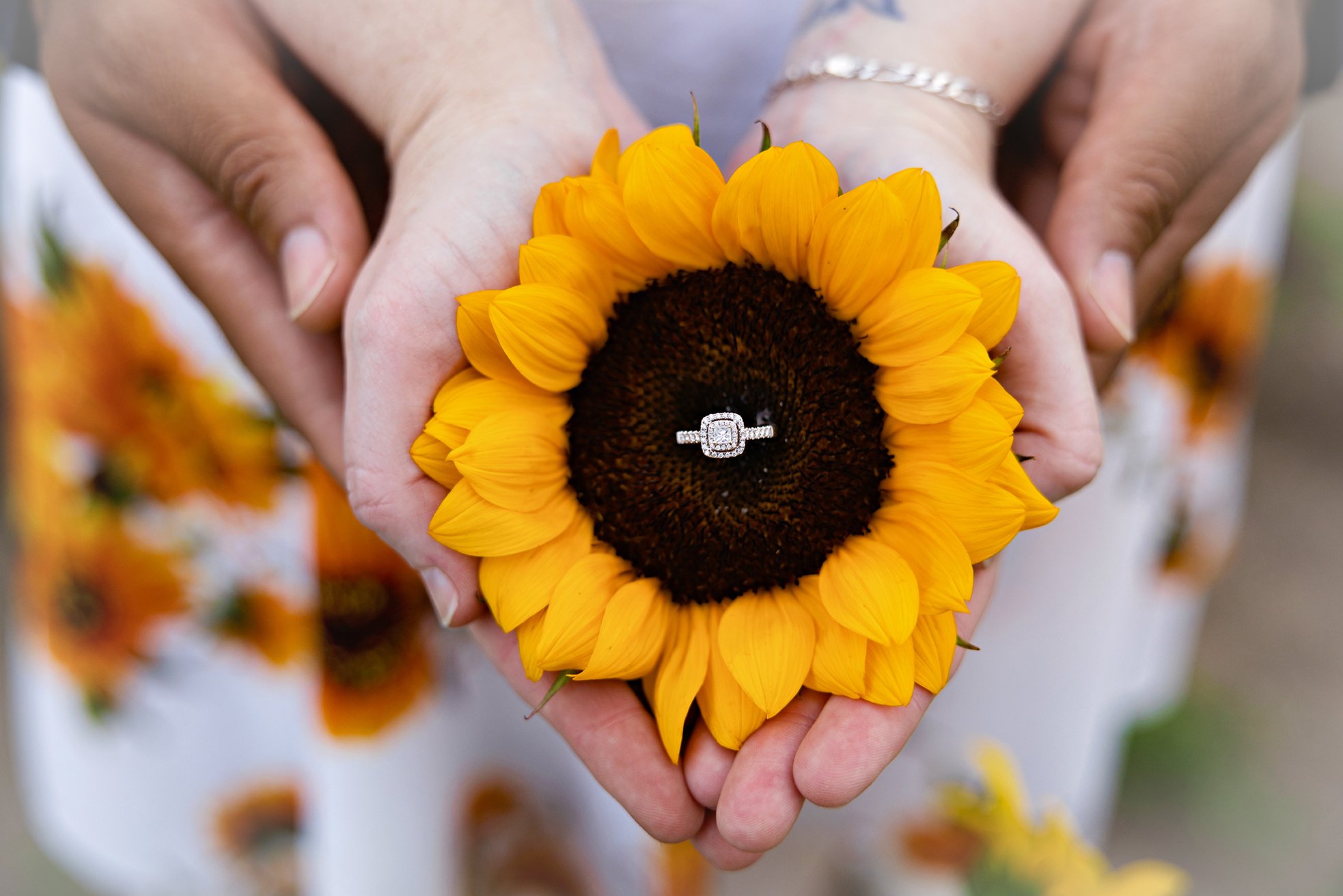 Nokesville Virginia Engagement Photography Session