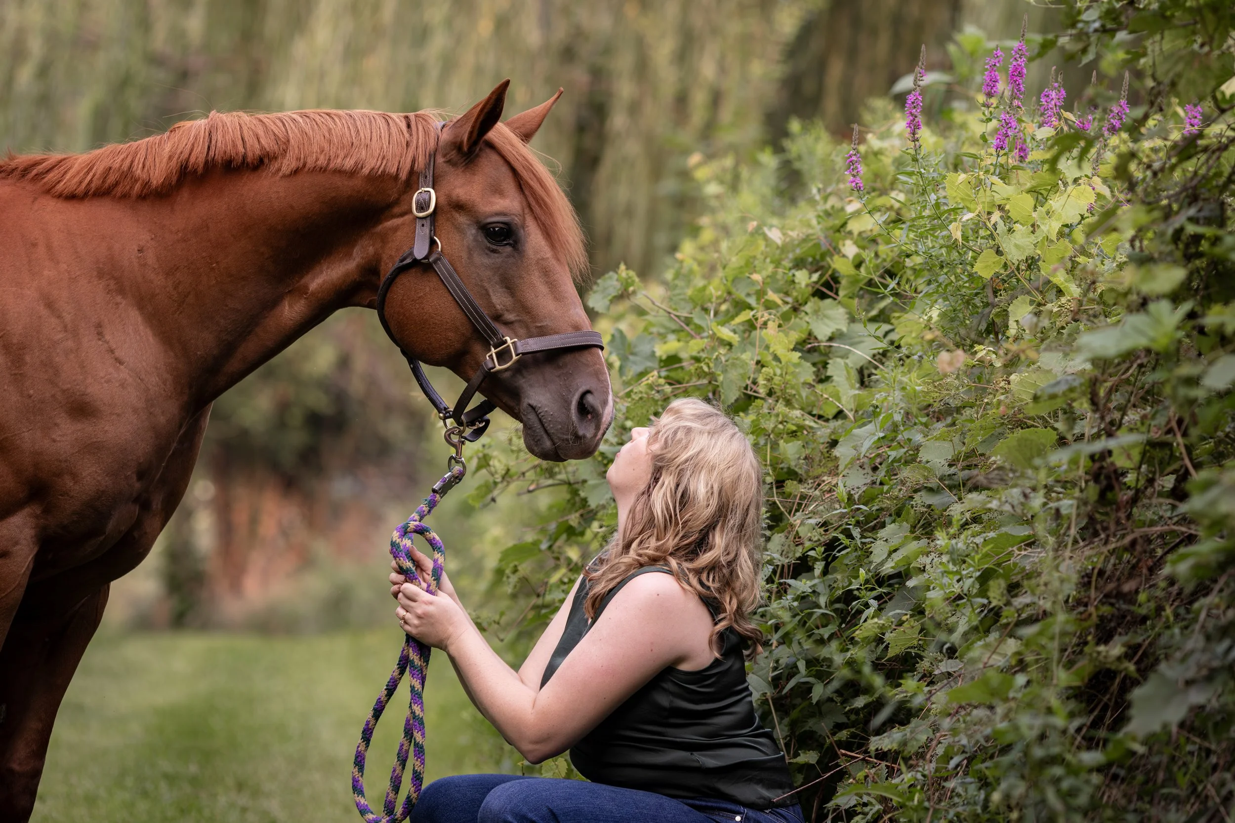 A woman crouching in the grass holding the lead rope of a chestnut horse, facing each other in an outdoor setting with greenery and purple flowers.