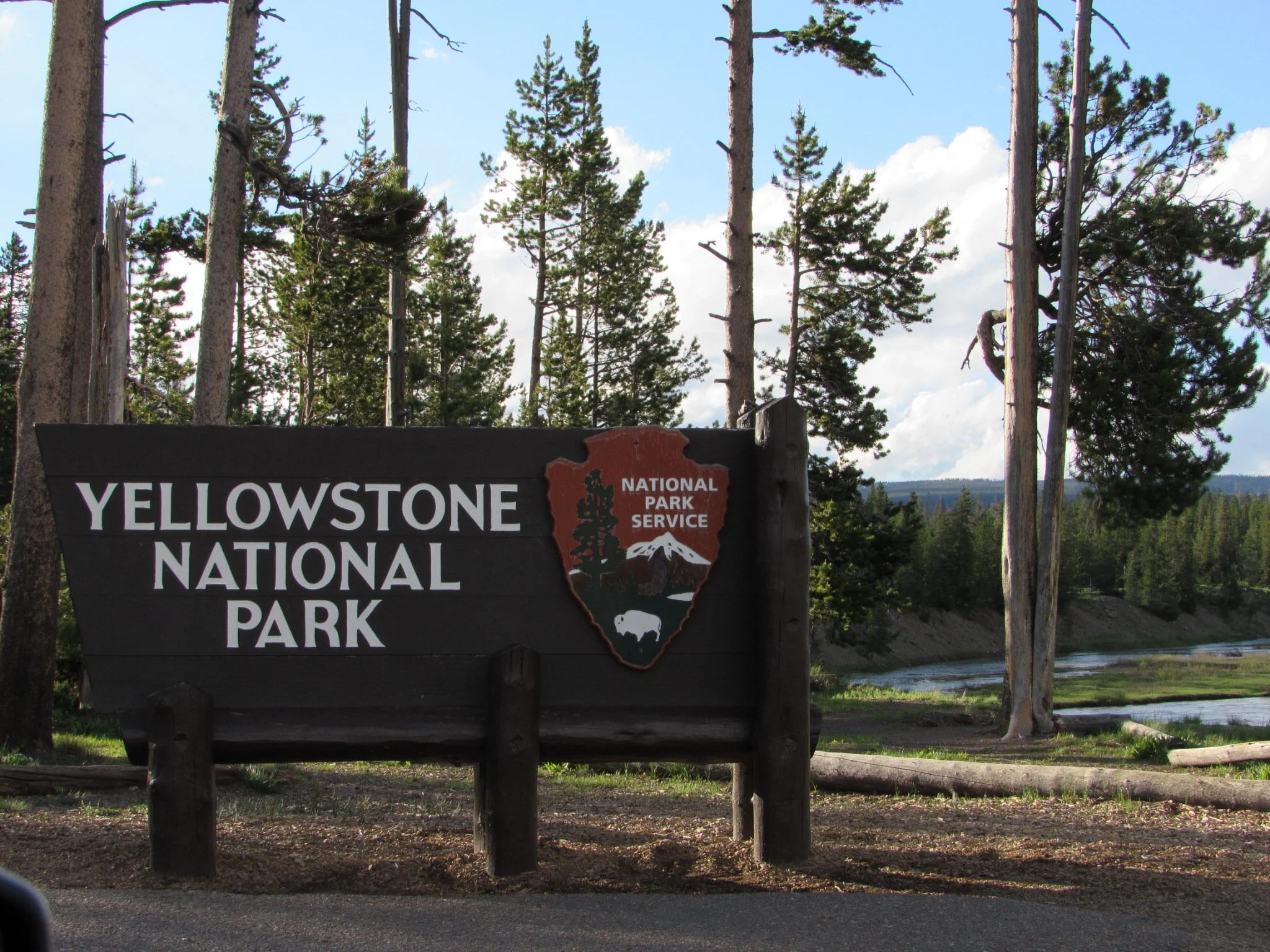 Day 6: Geysers and Mountains and Grizzlies- oh my!