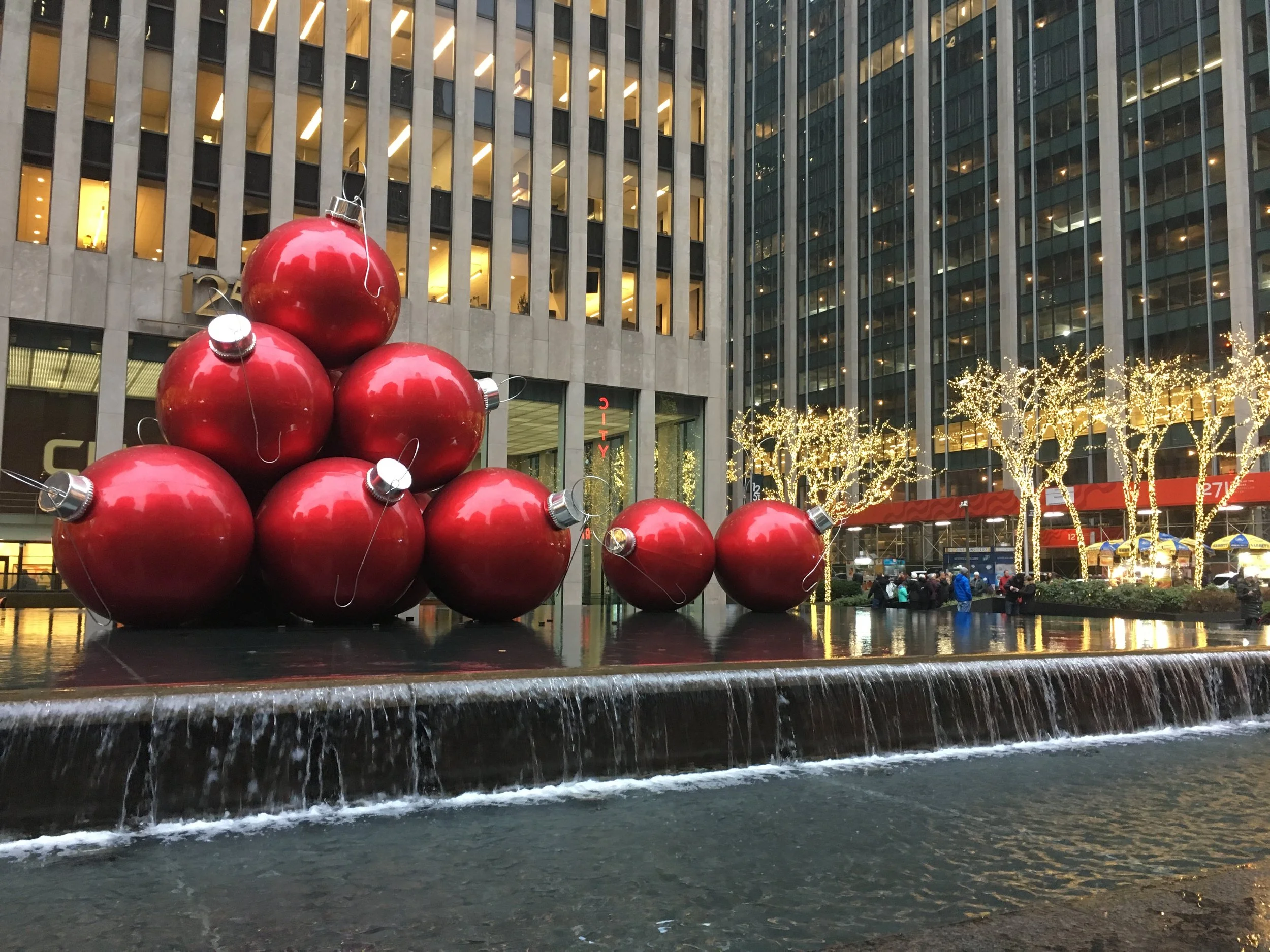 IMG_9048.jpg