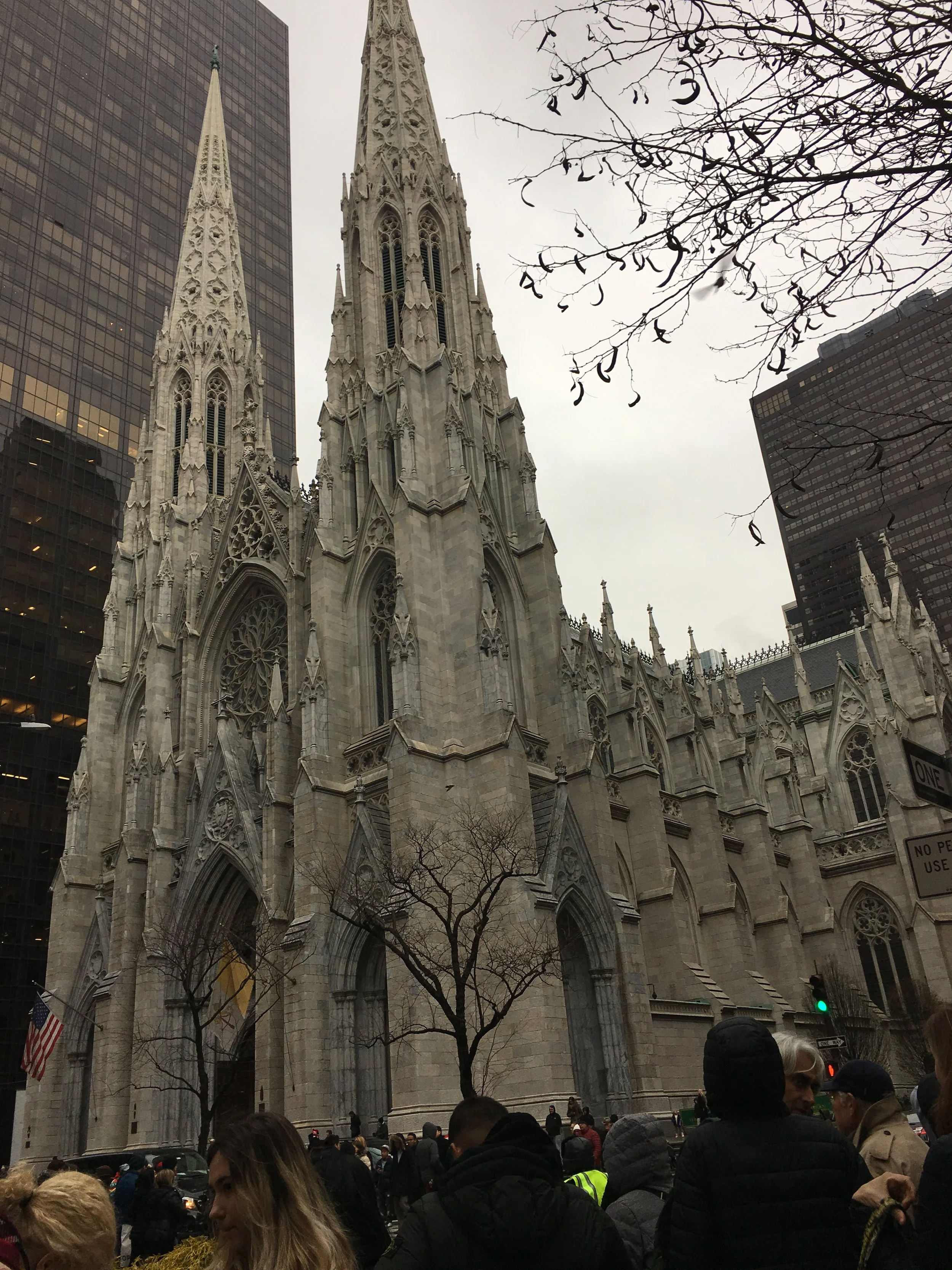 IMG_9026.jpg