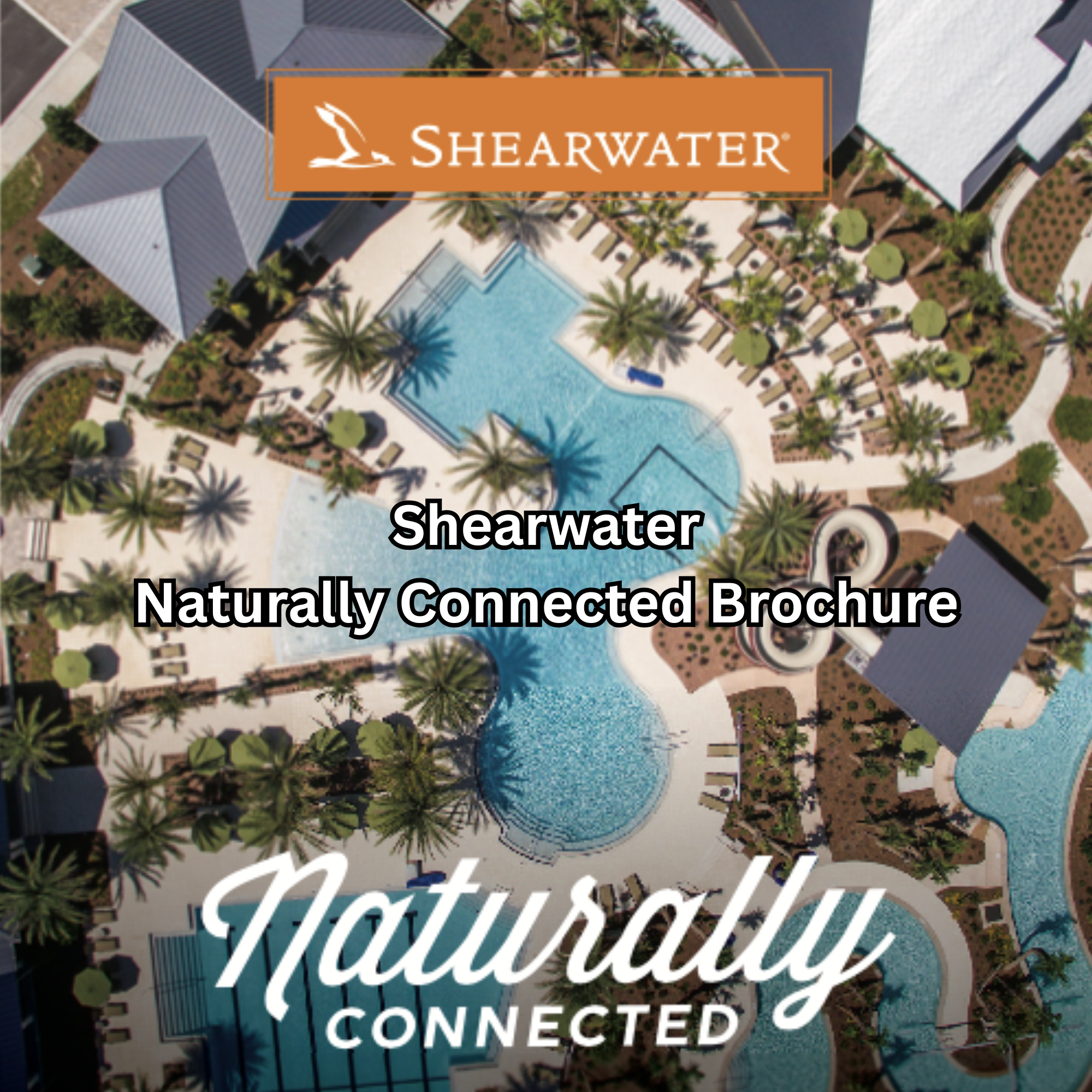 Your paragraph text (30).png