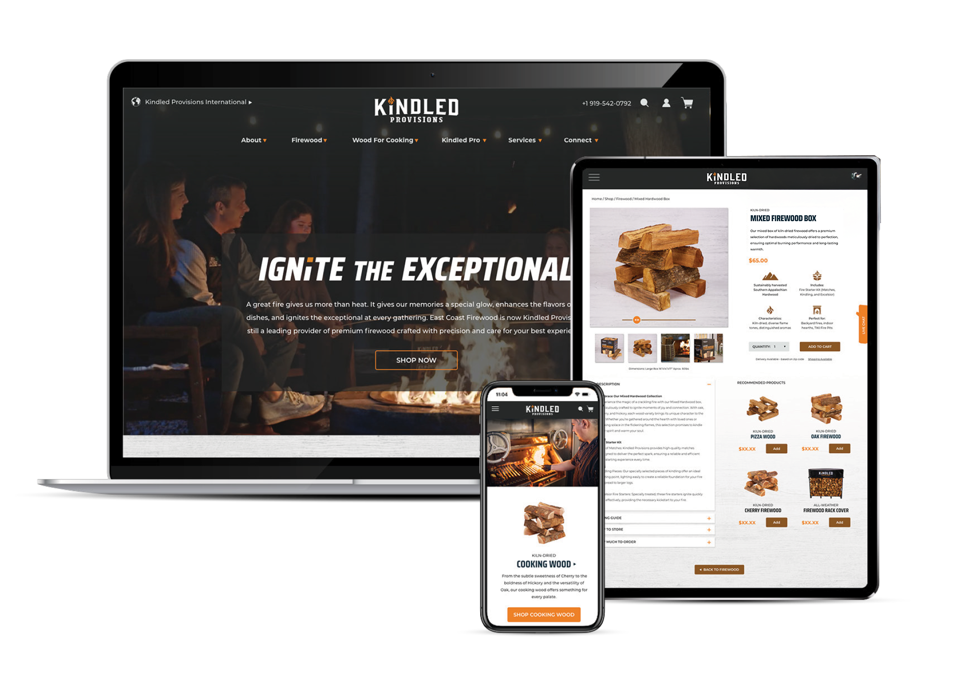 KPO-website copy.png