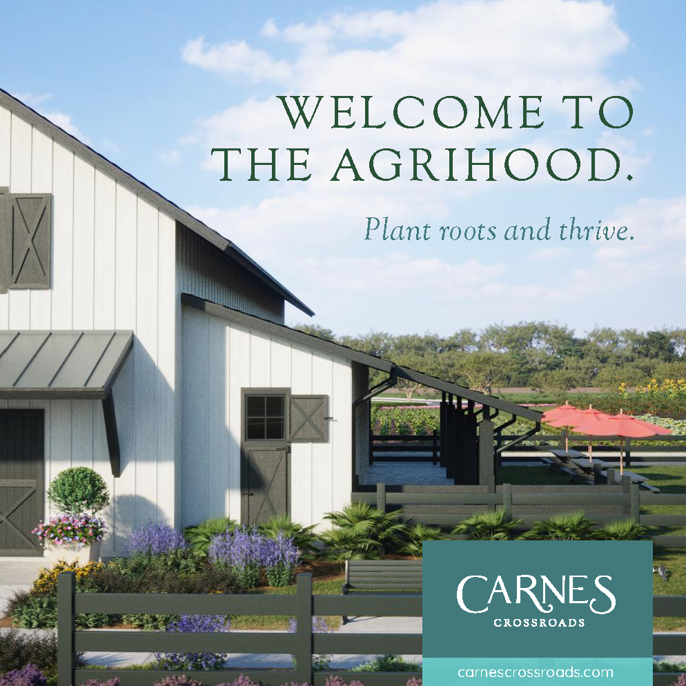 Carnes Campaign Banner Ad - 0.2.png