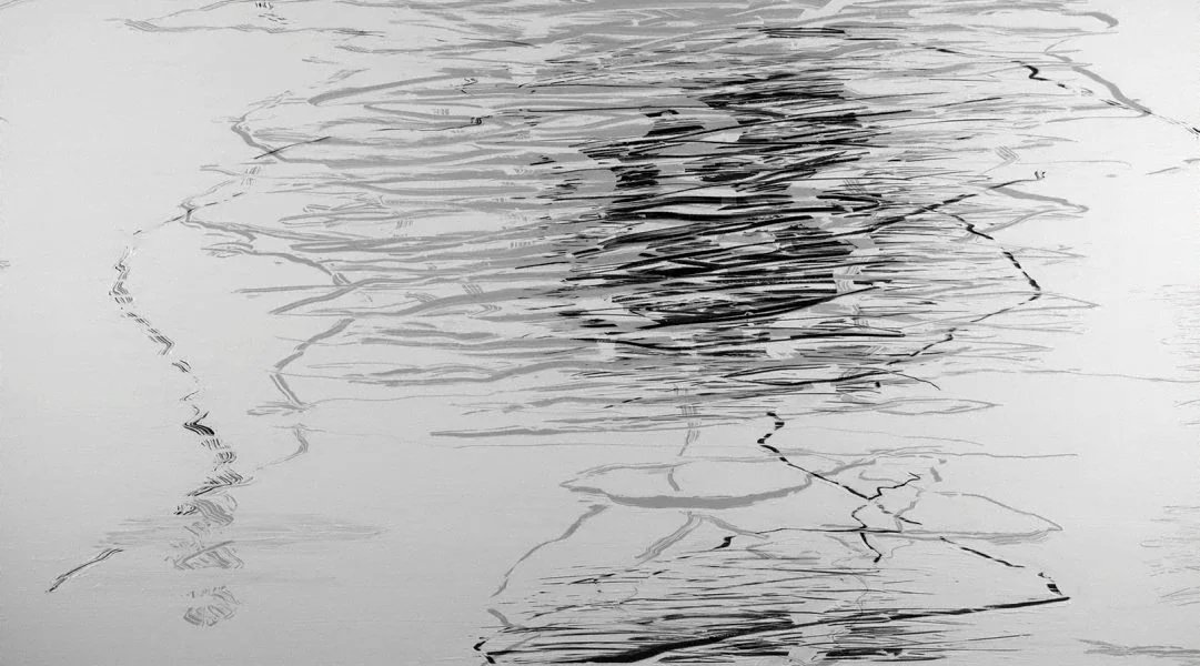 Detail of Ana Pollak, Flux, 2012 -single channel digital video animation, black and white, sound 1/60