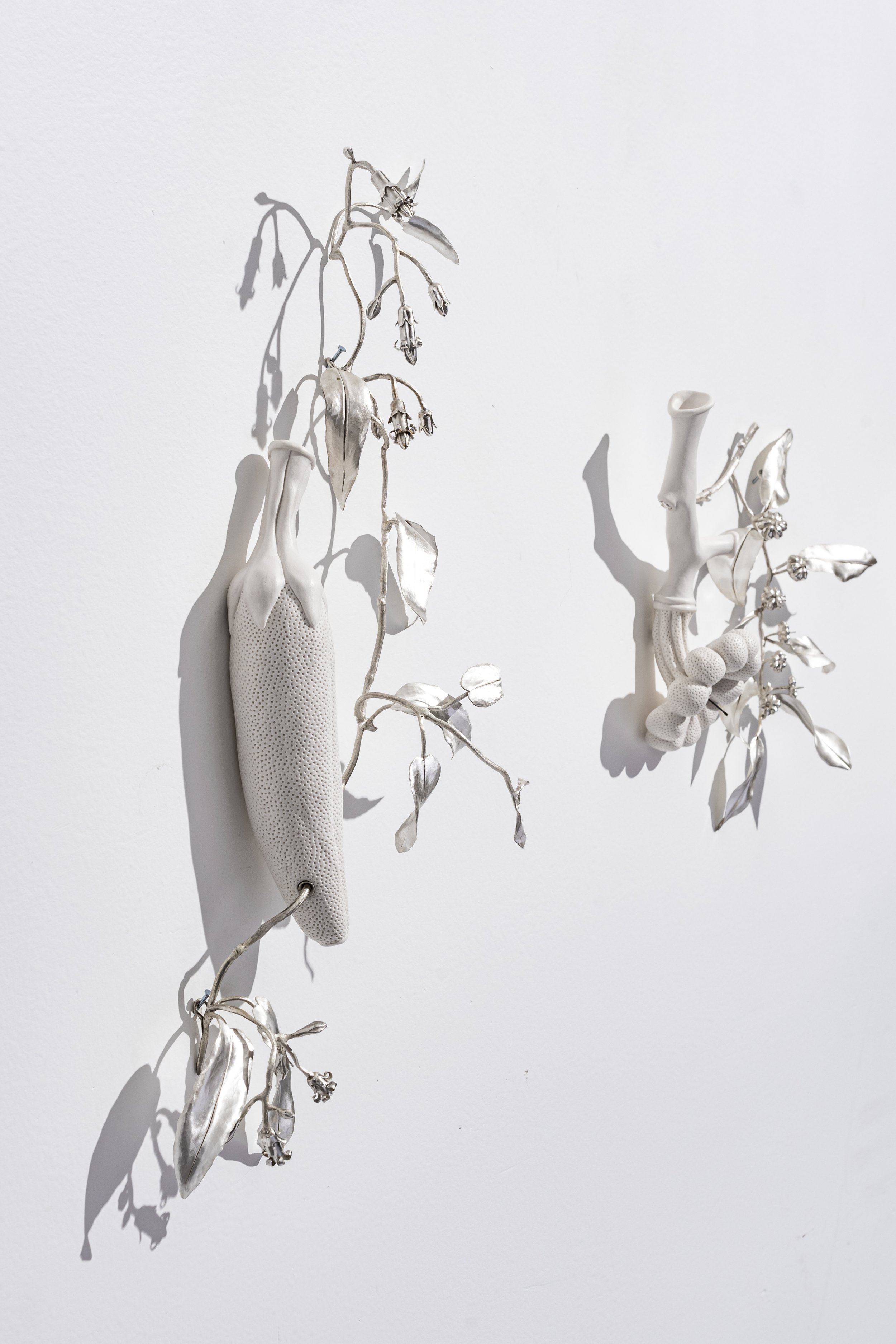 Florilegium, continued conversations - Bundanon, complete suite - detail.jpg